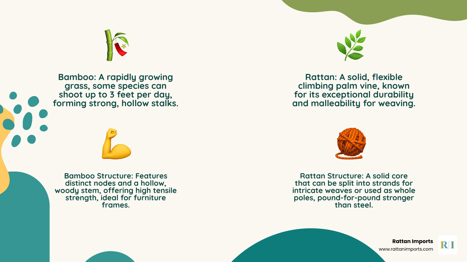Infographic showing bamboo vs rattan characteristics including growth patterns, material strength, weaving techniques, color variations, and typical uses in side table construction - bamboo rattan side table infographic 4_facts_emoji_nature