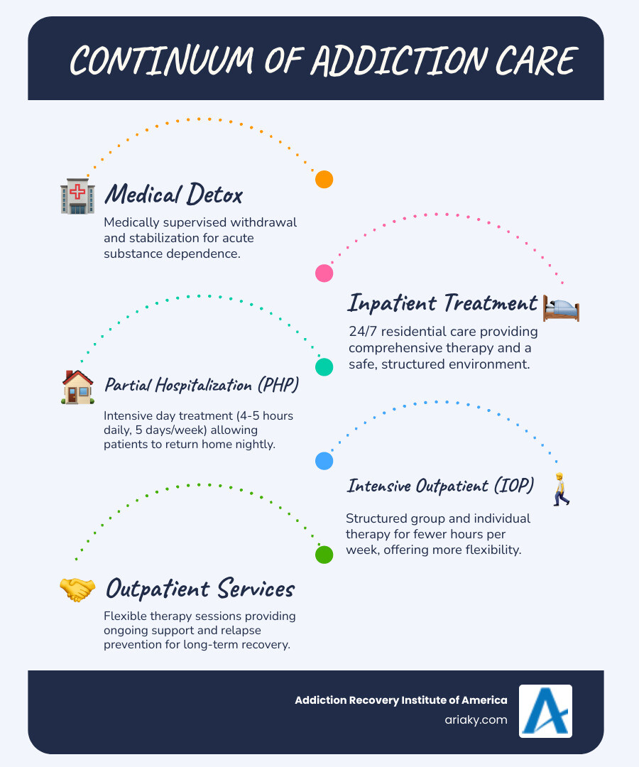 Comprehensive infographic showing the continuum of addiction care from medical detox through inpatient treatment, PHP, IOP, and outpatient services, with PHP highlighted as intensive day treatment allowing patients to return home nightly while receiving 4-5 hours of structured therapeutic programming - Lexington PHP treatment infographic infographic-line-5-steps-blues-accent_colors