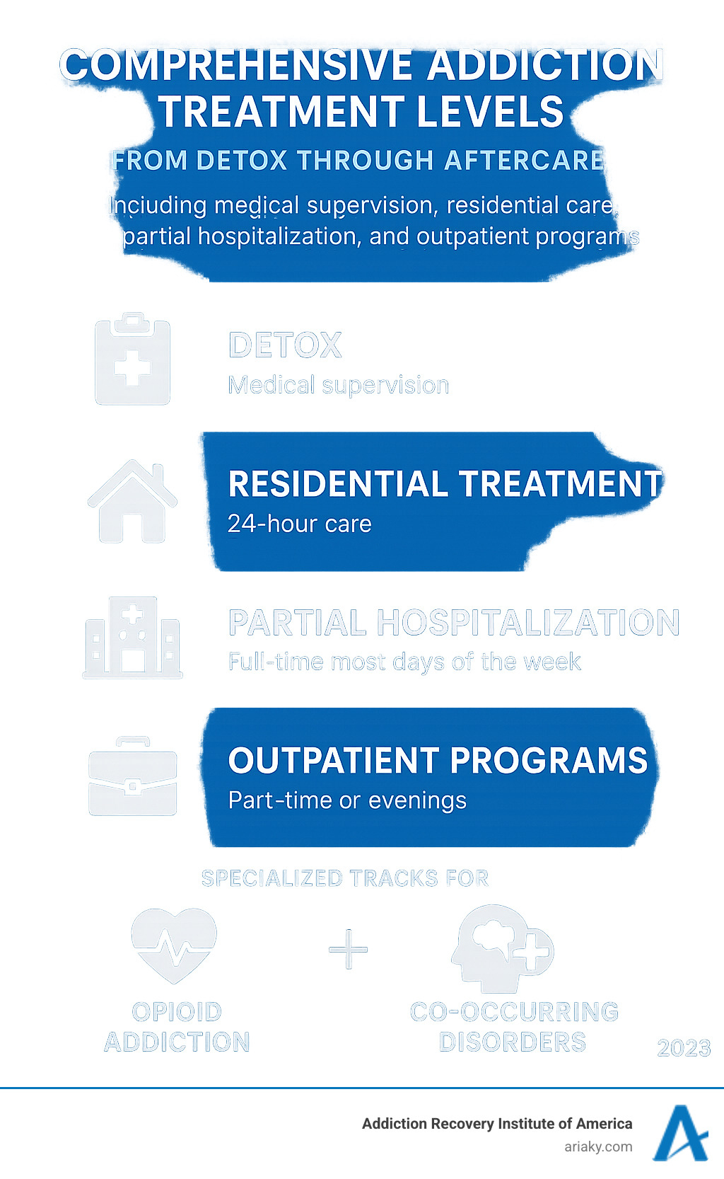Comprehensive addiction treatment levels from detox through aftercare including medical supervision, residential care, partial hospitalization, and outpatient programs with specialized tracks for opioid addiction and co-occurring disorders - Bowling Green rehab infographic 