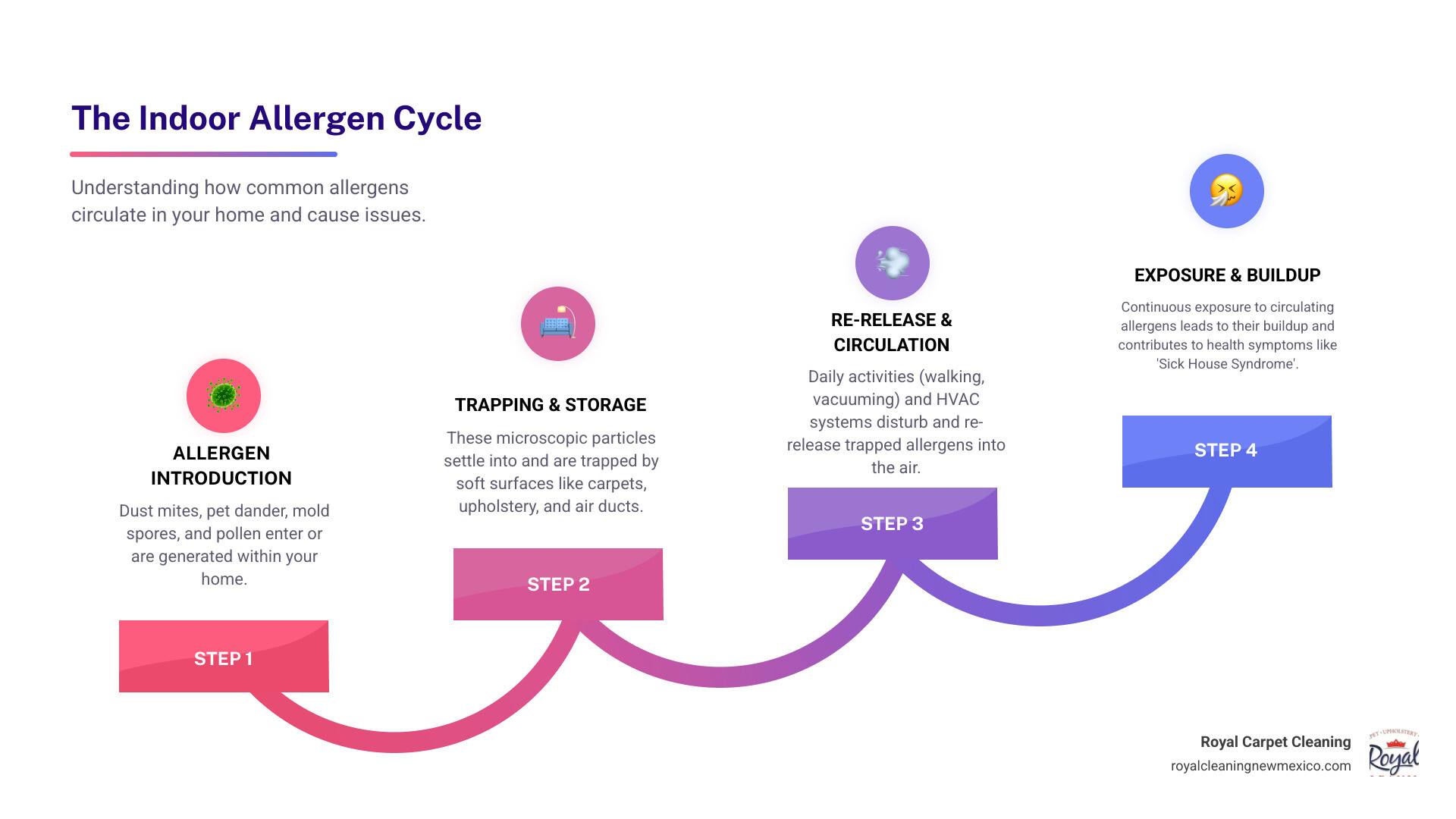 Infographic showing the cycle of common indoor allergens like dust mites, pet dander, and mold spores circulating through home air systems and settling into carpets, upholstery, and air ducts, creating a continuous loop of allergen exposure - professional home allergen removal infographic step-infographic-4-steps