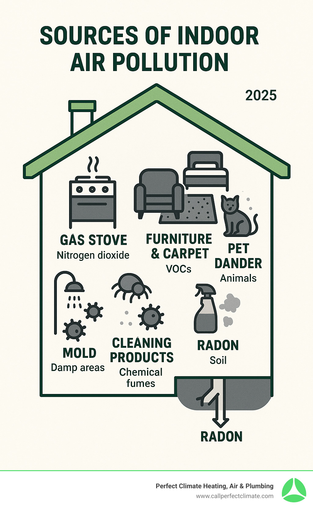 Comprehensive infographic showing the most common sources of indoor air pollution including gas stoves releasing nitrogen dioxide, furniture and carpets emitting VOCs, dust mites in bedding, pet dander from animals, mold in damp areas like bathrooms, cleaning products releasing chemical fumes, and radon gas seeping from soil through foundation cracks - home air quality improvement infographic 