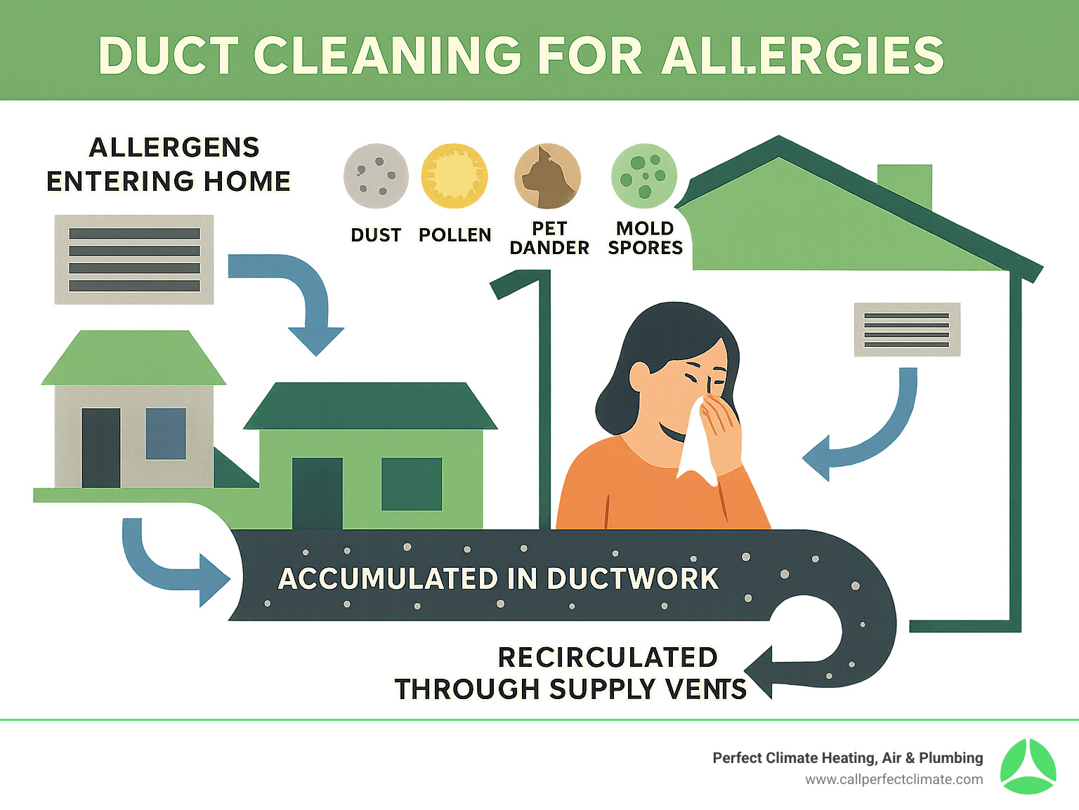 Infographic showing allergens entering home through HVAC intake, accumulating in ductwork, and being recirculated through supply vents into living spaces, with arrows indicating the circulation path and icons representing dust, pollen, pet dander, and mold spores - Duct cleaning for allergies infographic 