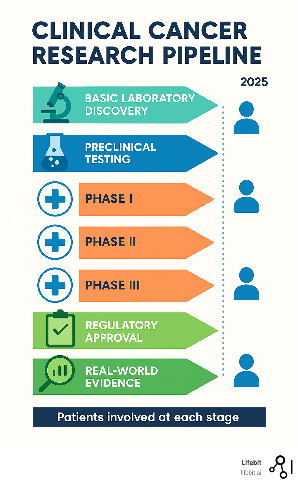 Infographic showing the clinical cancer research pipeline from basic laboratory findy through preclinical testing, Phase I-IV clinical trials, regulatory approval, and real-world evidence collection, with timeline indicators and patient involvement at each stage - clinical cancer research infographic 