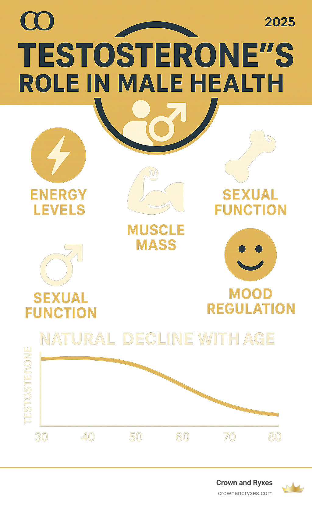 Detailed infographic showing testosterone's role in male health, including energy levels, muscle mass, bone density, sexual function, and mood regulation, plus the natural decline curve with age - Hormone therapy men infographic 