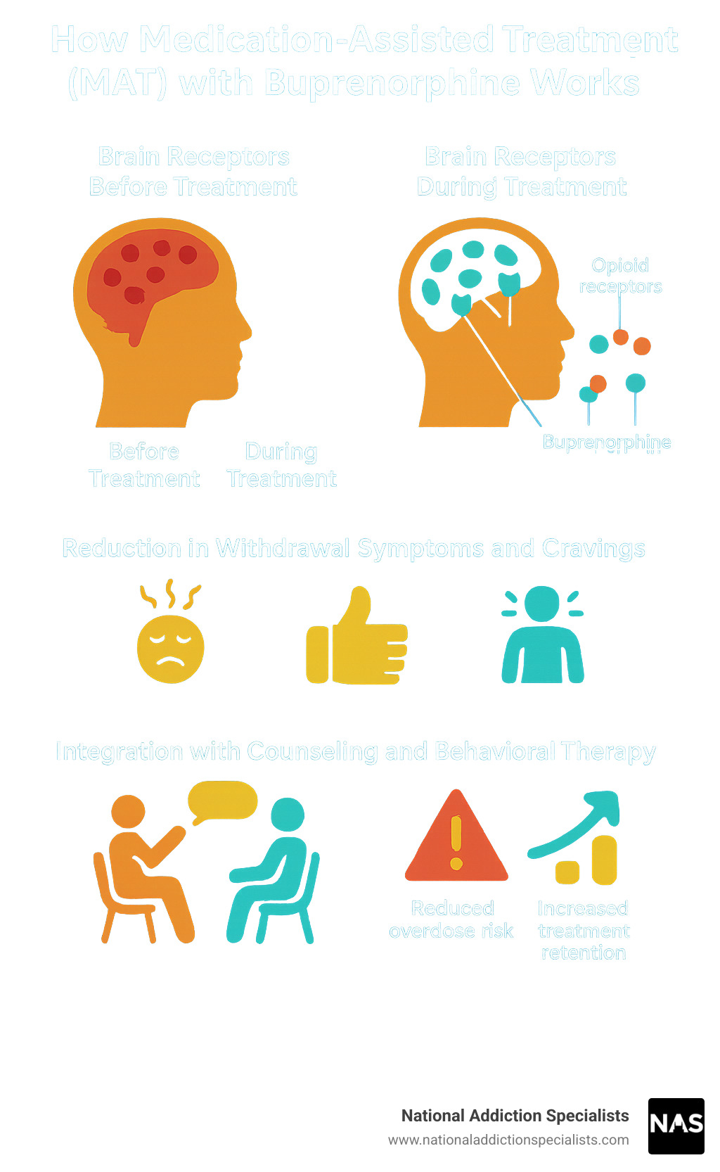 Comprehensive infographic showing how Medication-Assisted Treatment (MAT) with buprenorphine works: brain receptors before and during treatment, reduction in withdrawal symptoms and cravings, integration with counseling and behavioral therapy, and improved treatment outcomes including reduced overdose risk and increased treatment retention - bupe infographic 