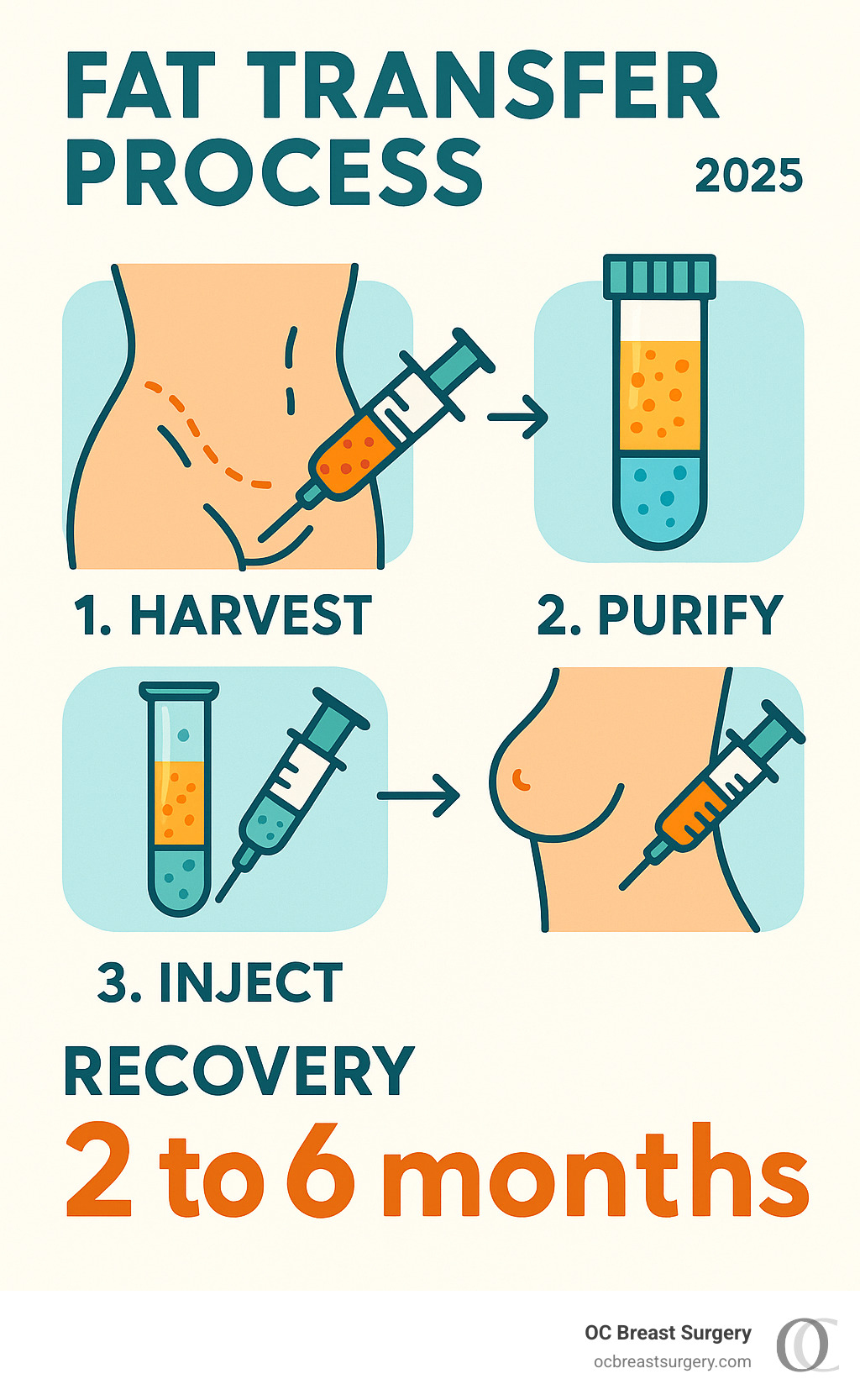 fat transfer process infographic - fat transfer recovery infographic 