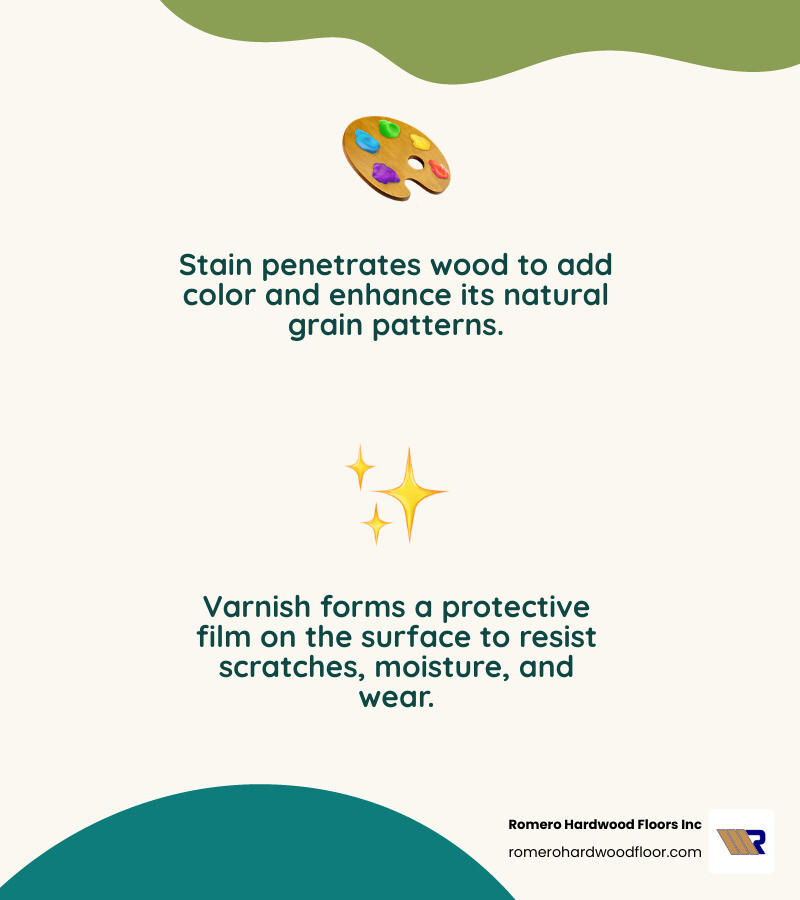 Detailed infographic showing wood cross-section with stain penetrating into wood fibers for color while varnish creates a clear protective film on the surface, including labels for stain penetration depth, wood grain improvement, and protective varnish layer - floorboard stain and varnish infographic 2_facts_emoji_nature