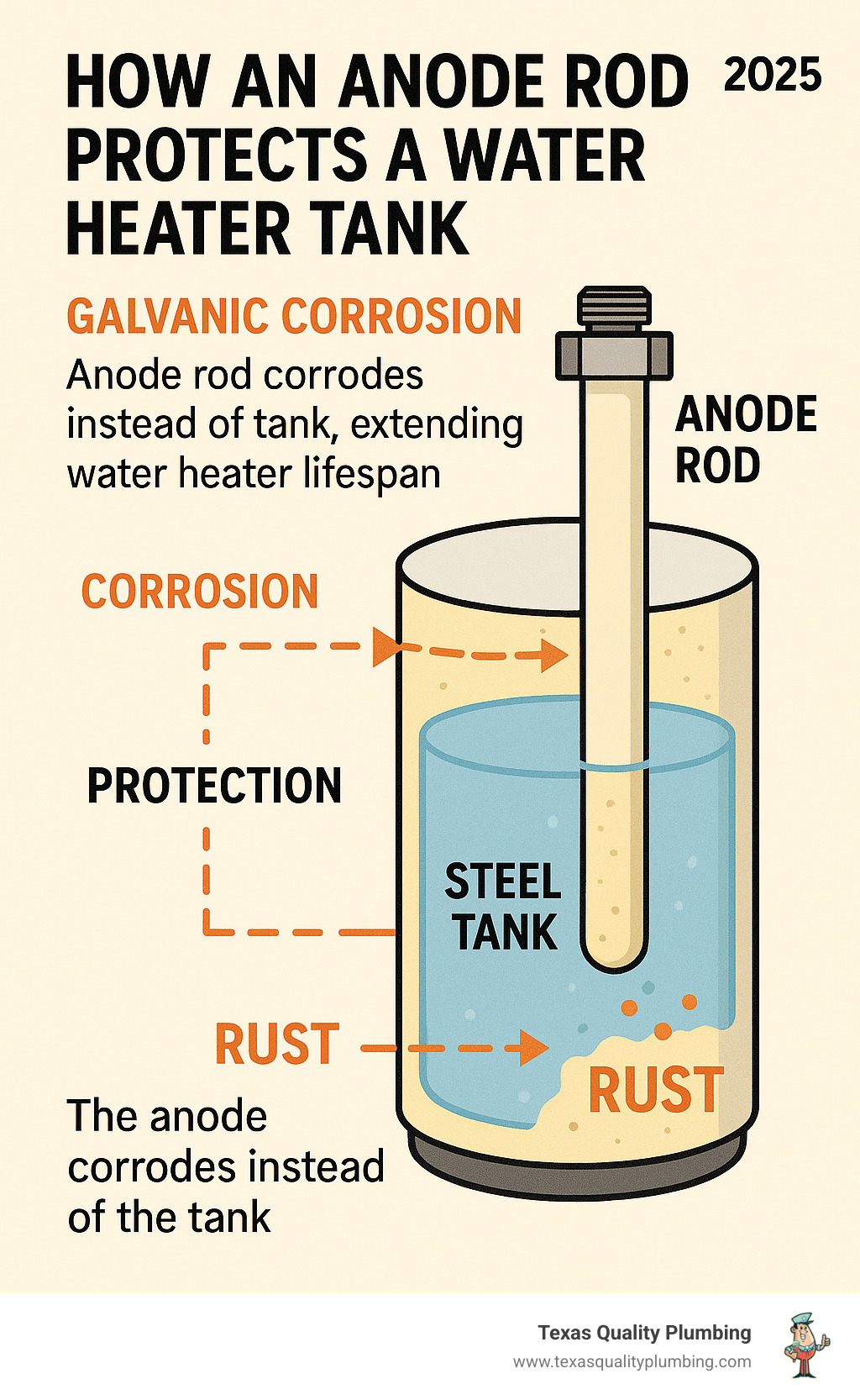 Infographic showing how an anode rod protects a steel water heater tank through galvanic corrosion, with arrows indicating the sacrificial process where the anode corrodes instead of the tank, extending water heater lifespan - Anode rod replacement infographic 