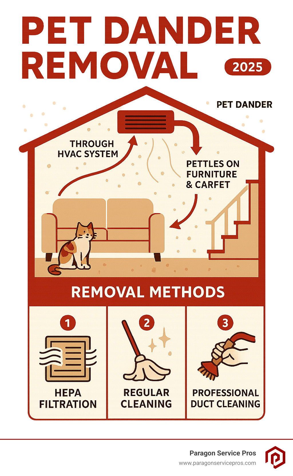 Infographic on how pet dander spreads and how to remove it - pet dander removal infographic Infographic on how pet dander spreads and how to remove it - pet dander removal infographic