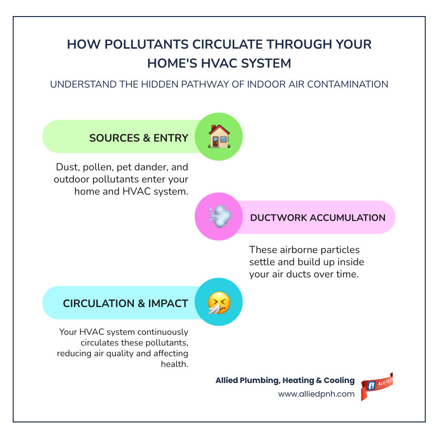 Infographic showing how dust, allergens, pet dander, and bacteria circulate through a home's HVAC ductwork system, with arrows indicating airflow patterns and contamination sources like cooking, pets, and outdoor pollutants entering through the system - air duct cleaning springfield infographic infographic-line-3-steps-colors