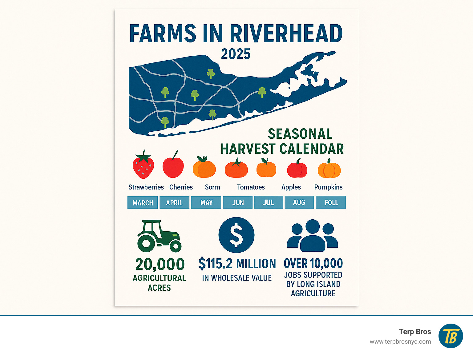 Infographic showing Riverhead farm locations, seasonal harvest calendar from spring strawberries through fall pumpkins, and key statistics: 20,000 agricultural acres, $115.2 million in wholesale values, and over 10,000 jobs supported by Long Island agriculture - farms in riverhead infographic