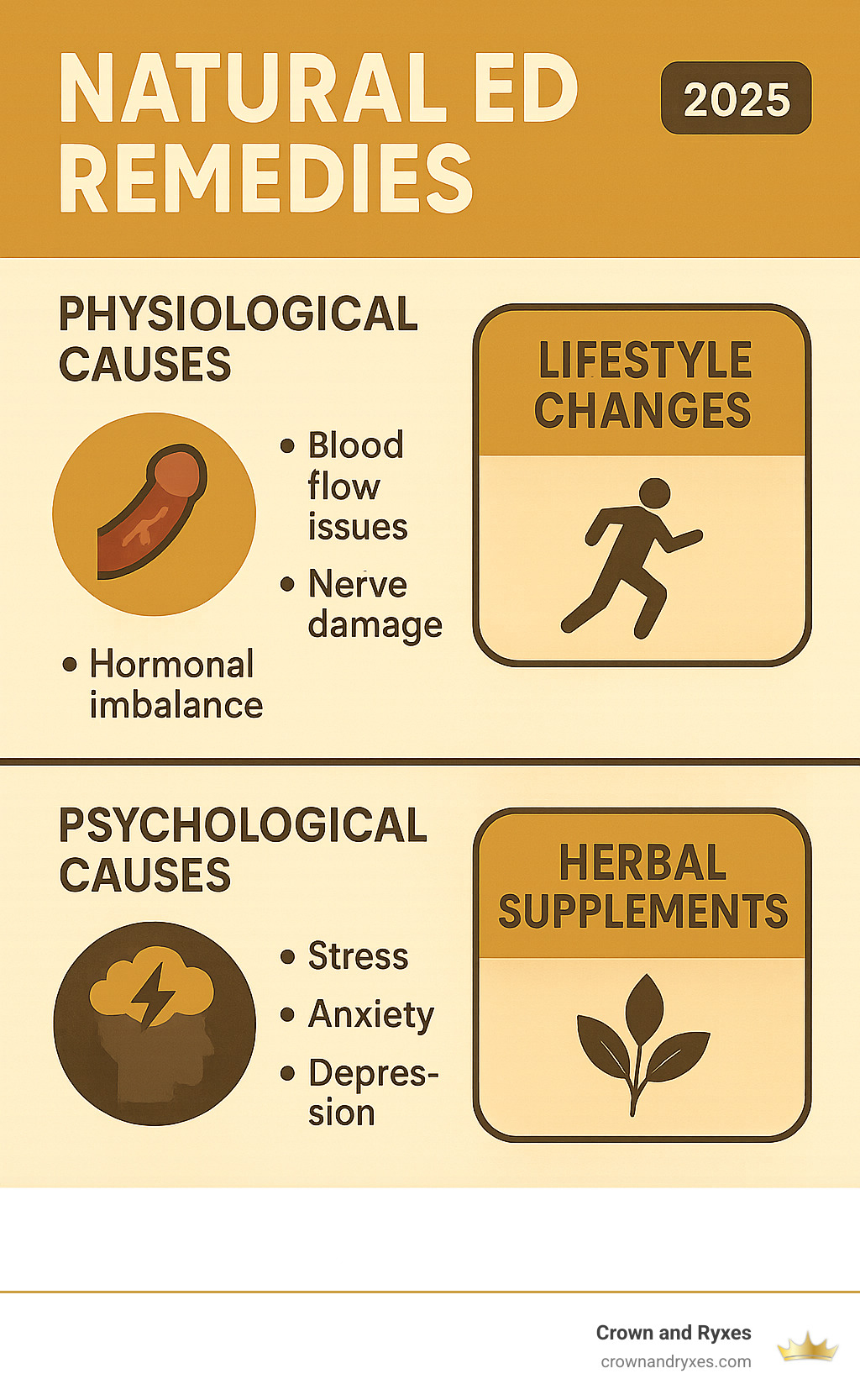 Infographic showing the physiological causes of ED including blood flow issues, nerve damage, and hormonal imbalances, alongside psychological causes like stress, anxiety, and depression, with natural remedy categories for each cause - Natural ED remedies infographic Infographic showing the physiological causes of ED including blood flow issues, nerve damage, and hormonal imbalances, alongside psychological causes like stress, anxiety, and depression, with natural remedy categories for each cause - Natural ED remedies infographic