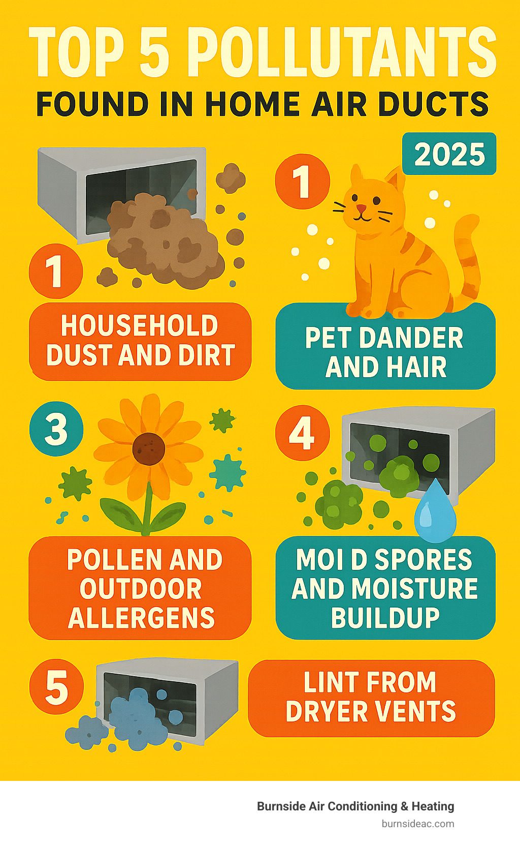 Infographic showing the top 5 pollutants found in home air ducts: household dust and dirt, pet dander and hair, pollen and outdoor allergens, mold spores and moisture buildup, and lint from dryer vents - air duct cleaning plano infographic 