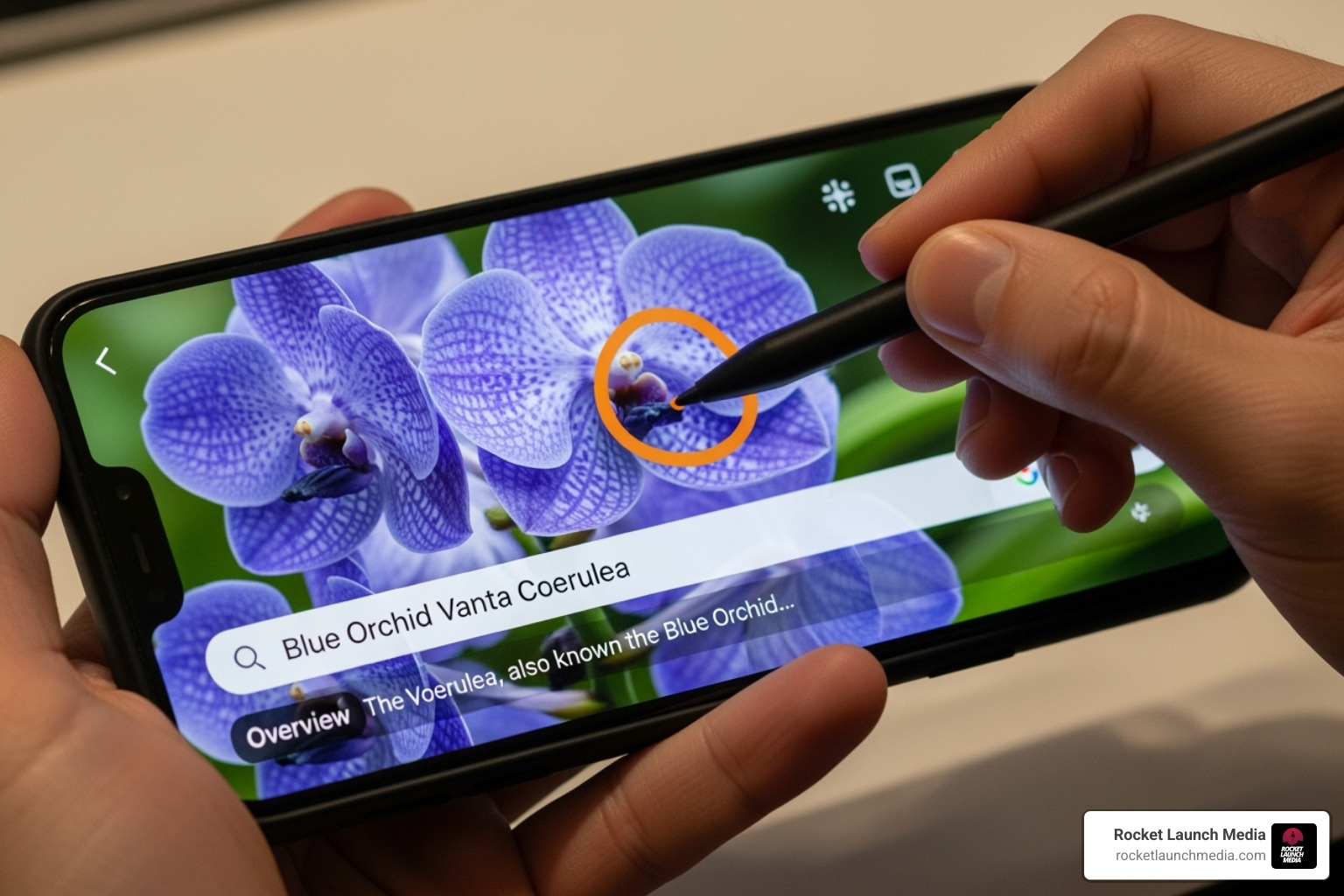 Circle to Search in action - showing up in AI overviews