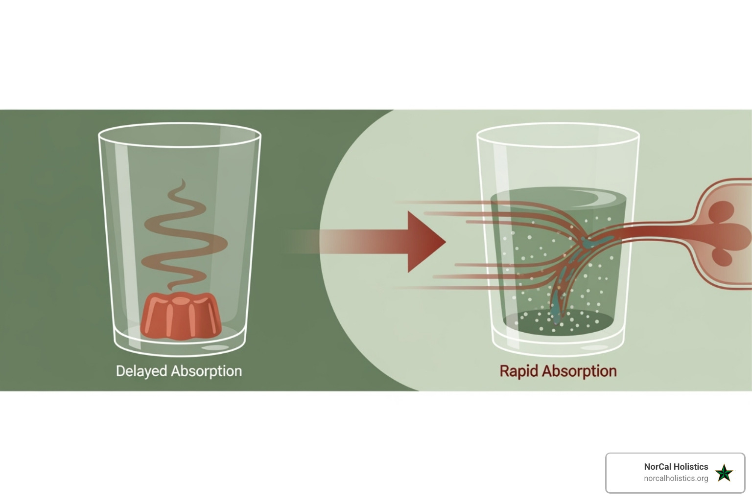 A stylized illustration depicting two clear glasses. One glass contains a traditional edible (like a gummy) at the bottom, with a slow, wavy line indicating delayed absorption. The other glass contains a clear liquid with tiny, dispersed dots, and a fast, direct arrow pointing from the liquid into a bloodstream graphic, representing the rapid absorption of nano-emulsified THC drinks. - THC drinks for pain