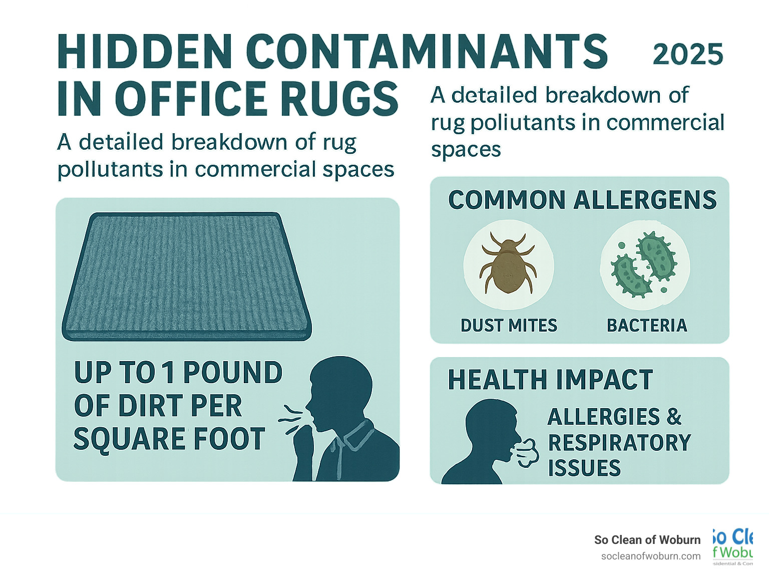 Detailed breakdown showing hidden contaminants in office rugs including dirt accumulation rates, common allergens like dust mites and bacteria, and the health impact on employees in commercial spaces - rug cleaning medford infographic 