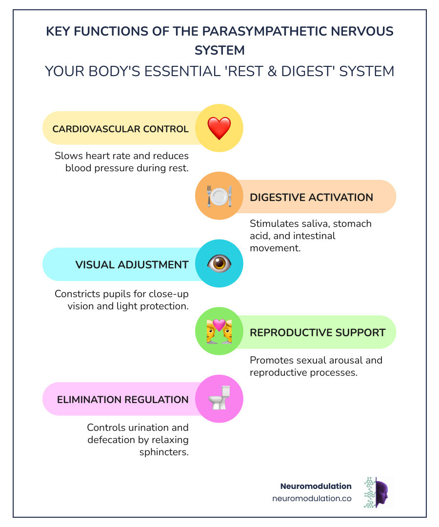 Comprehensive diagram showing parasympathetic nervous system functions including cranial nerve pathways, organ innervation, neurotransmitter acetylcholine release, and rest-and-digest responses like decreased heart rate, increased digestion, pupil constriction, and sexual arousal across all major body systems - what is the function of the parasympathetic nervous system infographic infographic-line-5-steps-colors