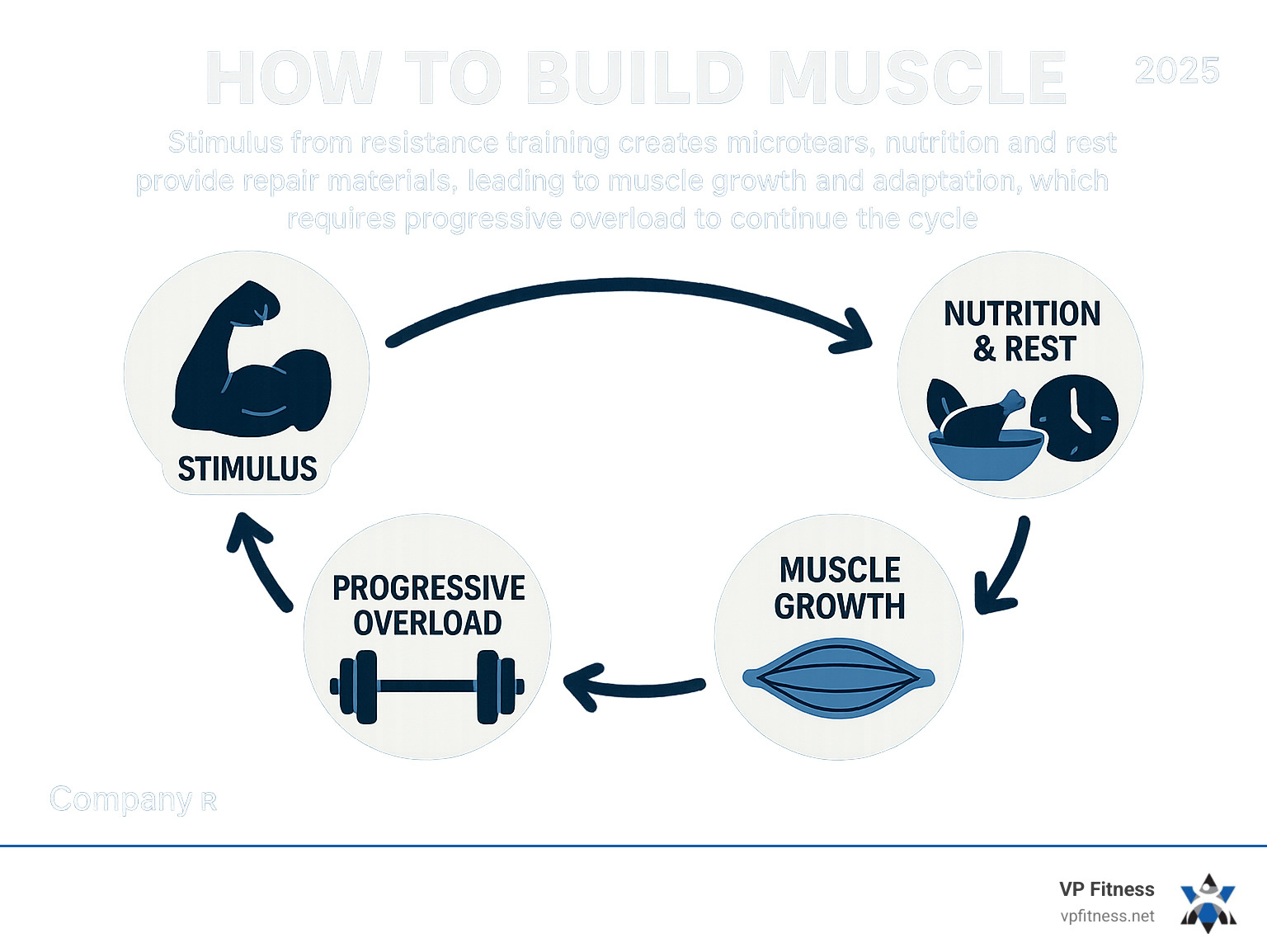 How to build muscle: The #1 No-BS Blueprint