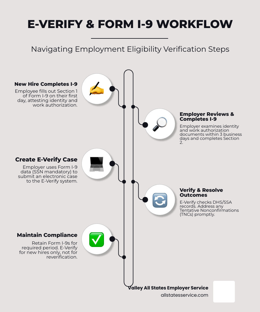 Detailed workflow infographic showing the step-by-step process from new employee hire through Form I-9 completion to E-Verify case creation, including decision points for document examination, SSN requirements, and compliance checkpoints - E-Verify form I-9 infographic infographic-line-5-steps-neat_beige