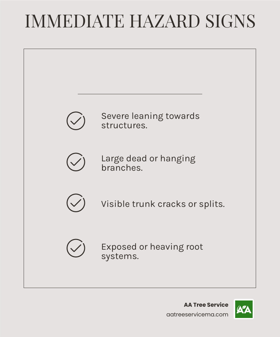 Infographic showing the top 5 warning signs that indicate a tree poses an immediate hazard requiring emergency removal: severe leaning toward structures, large dead or hanging branches, visible trunk cracks or splits, fungal growth at the tree base, and exposed or heaving root systems - Emergency Tree Removal Wakefield MA infographic checklist-light-beige Infographic showing the top 5 warning signs that indicate a tree poses an immediate hazard requiring emergency removal: severe leaning toward structures, large dead or hanging branches, visible trunk cracks or splits, fungal growth at the tree base, and exposed or heaving root systems - Emergency Tree Removal Wakefield MA infographic checklist-light-beige