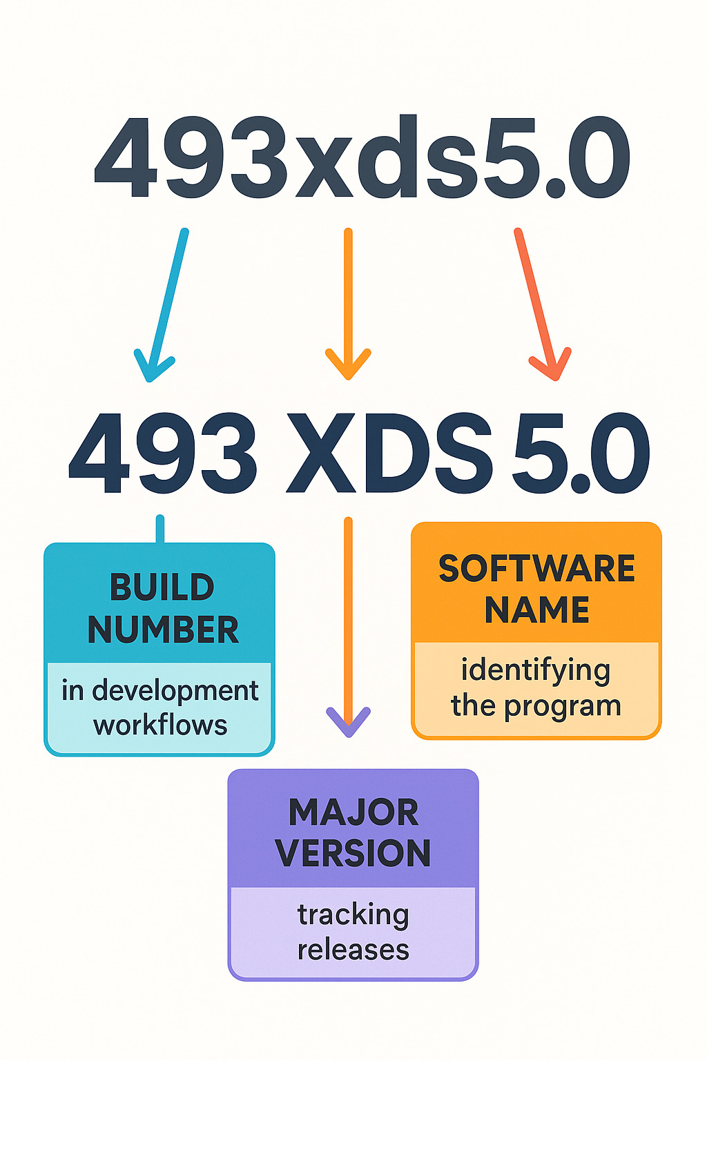 Infographic showing software version identifier components: build number 493, software name XDS, and major version 5.0, with arrows pointing to their meanings and uses in development workflows - what is 493xds5.0 in software infographic 