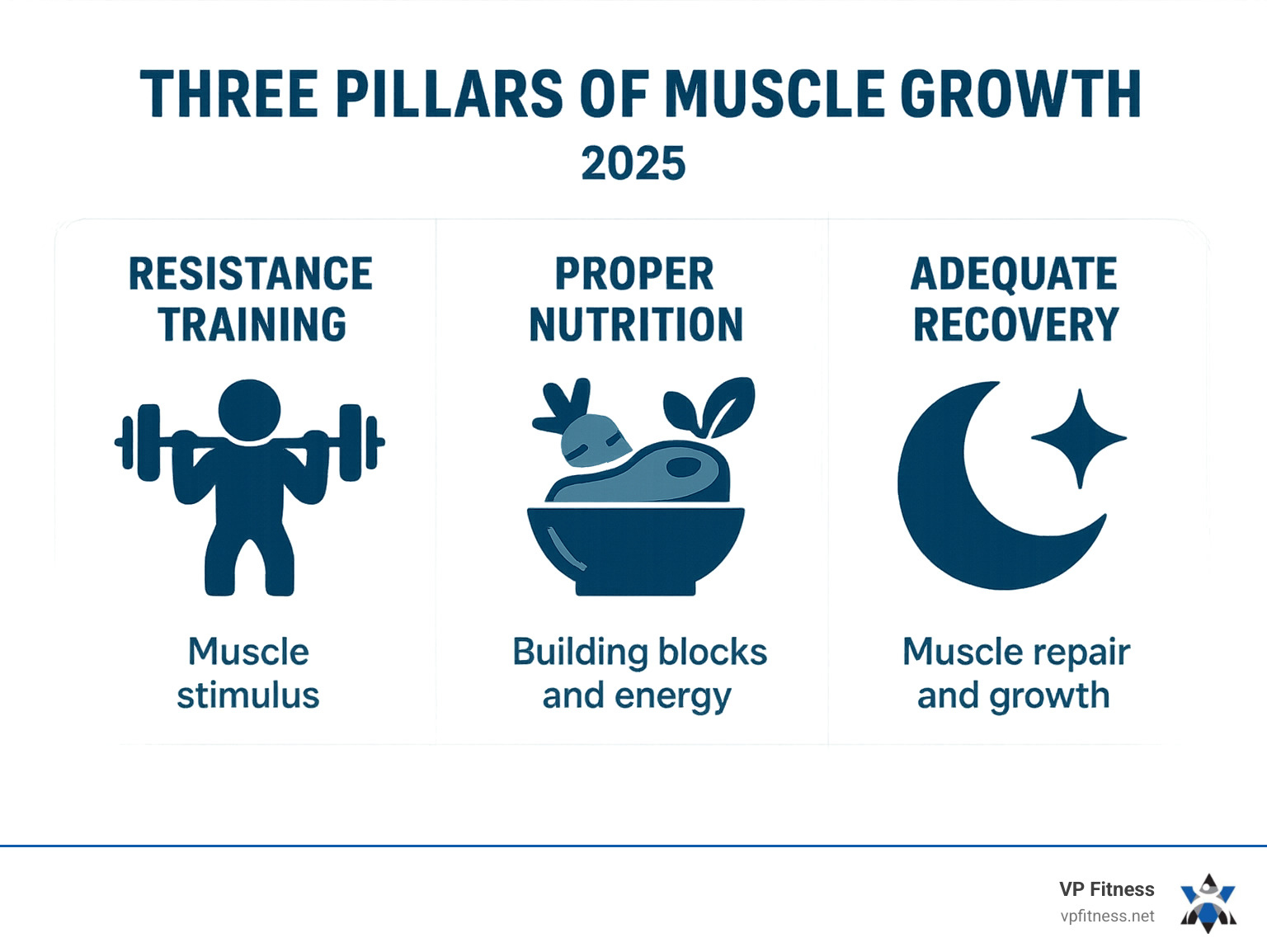 Infographic showing three pillars of muscle growth: resistance training creating muscle stimulus, proper nutrition providing building blocks and energy, and adequate recovery allowing muscle repair and growth - Muscle gain diet infographic Infographic showing three pillars of muscle growth: resistance training creating muscle stimulus, proper nutrition providing building blocks and energy, and adequate recovery allowing muscle repair and growth - Muscle gain diet infographic
