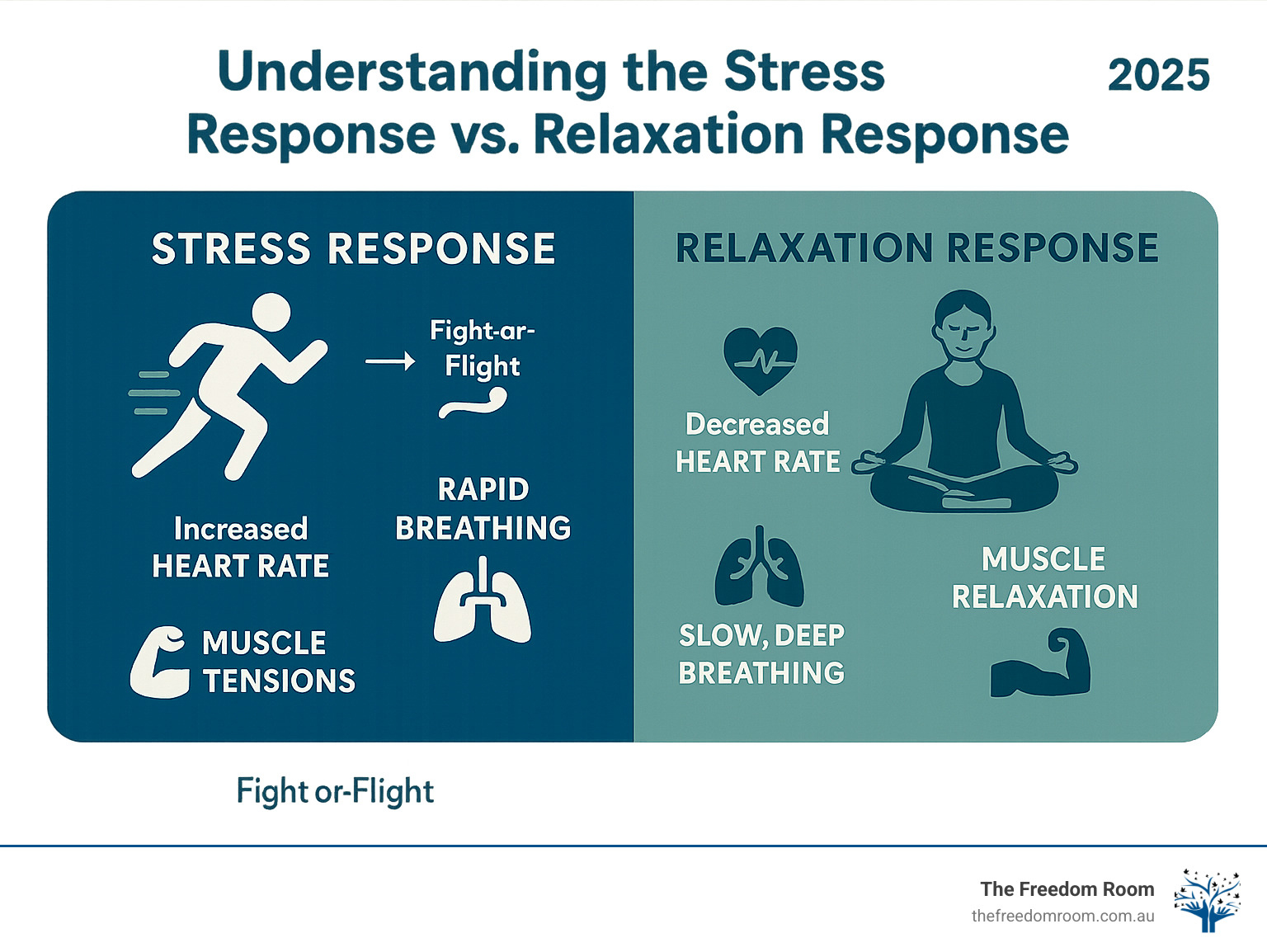 Infographic showing the physiological differences between the body's stress response and relaxation response, including heart rate, breathing patterns, muscle tension, and hormone levels in the body during fight-or-flight versus calm states - relaxation techniques for anxiety infographic 
