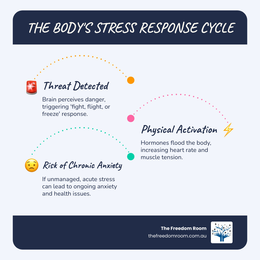 Infographic showing the body's stress response cycle including fight, flight, or freeze activation, physical symptoms like increased heart rate and muscle tension, and the pathway from acute stress to chronic anxiety if left unmanaged - stress and anxiety management techniques infographic infographic-line-3-steps-blues-accent_colors
