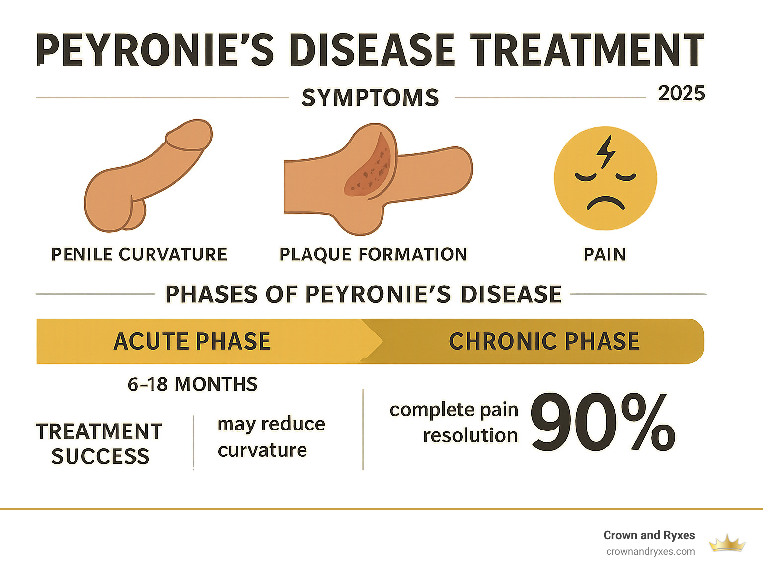 Comprehensive infographic showing Peyronie's disease symptoms including penile curvature, plaque formation, pain levels, treatment timeline from acute to chronic phase, and success rates of different treatment approaches - Peyronie's disease treatment infographic Comprehensive infographic showing Peyronie's disease symptoms including penile curvature, plaque formation, pain levels, treatment timeline from acute to chronic phase, and success rates of different treatment approaches - Peyronie's disease treatment infographic