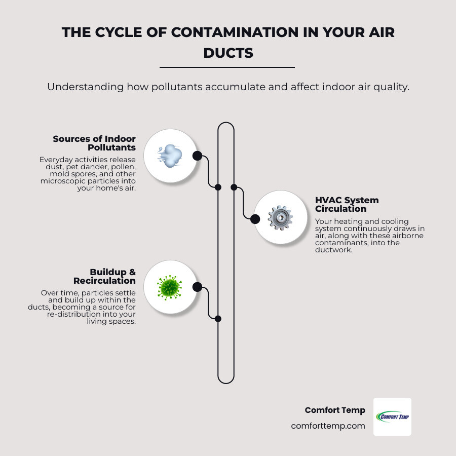 Detailed infographic showing how dust, pet dander, pollen, mold spores, and debris accumulate in a home's air duct system over time, with arrows indicating air flow patterns and contamination buildup in ductwork branches - best duct cleaning service infographic infographic-line-3-steps-neat_beige Detailed infographic showing how dust, pet dander, pollen, mold spores, and debris accumulate in a home's air duct system over time, with arrows indicating air flow patterns and contamination buildup in ductwork branches - best duct cleaning service infographic infographic-line-3-steps-neat_beige
