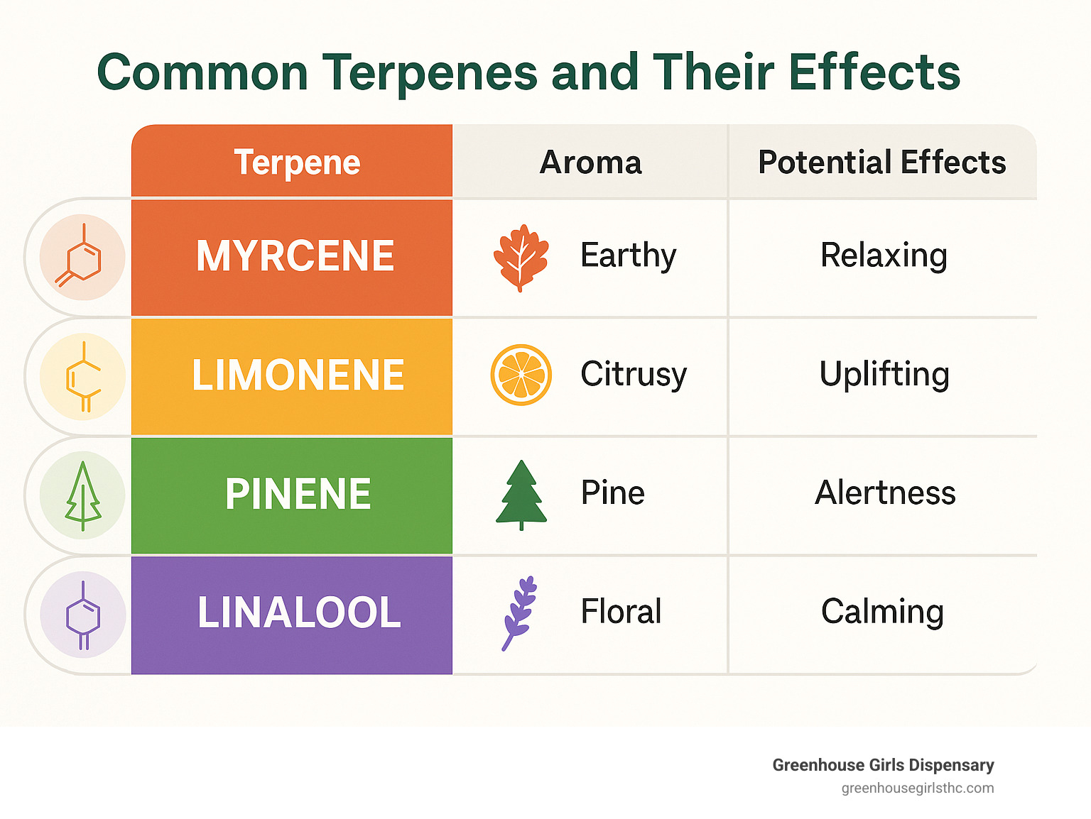 Table comparing common terpenes, their aromas, and potential effects - Different hemp strains infographic 
