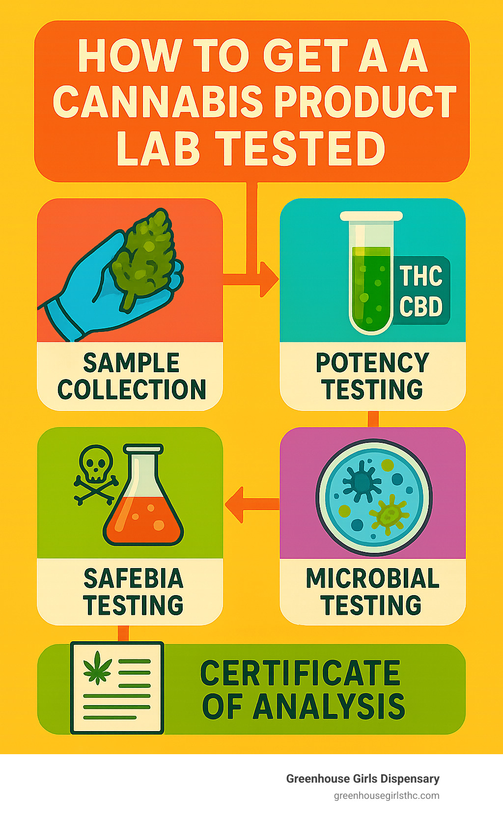Infographic showing the cannabis lab testing process from sample collection to Certificate of Analysis, including key test types: potency testing for THC/CBD levels, safety testing for pesticides and heavy metals, and microbial testing for mold and bacteria - how to get a cannabis product lab tested infographic 