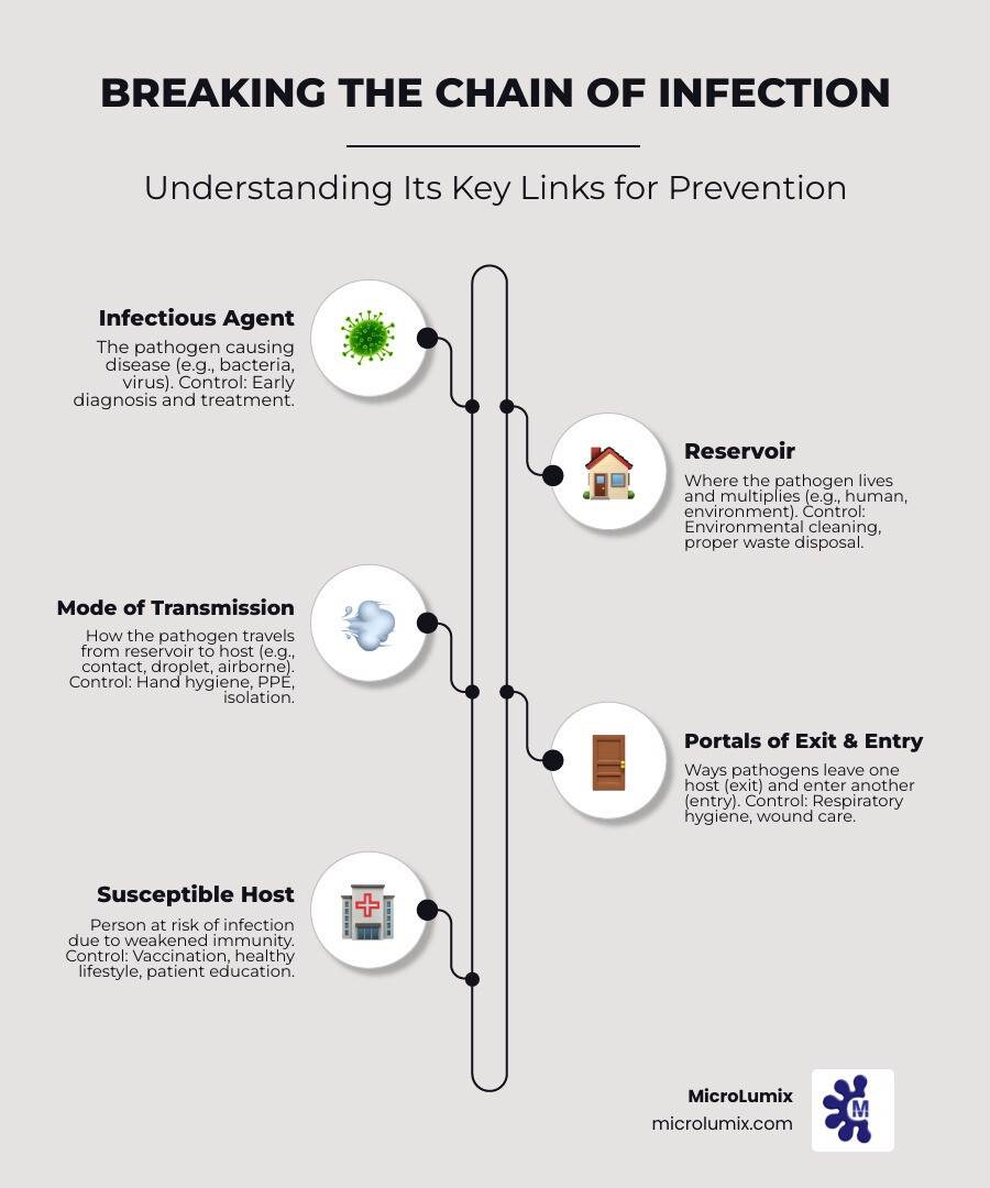 Comprehensive infographic showing the six links in the chain of infection: infectious agent, reservoir, portal of exit, mode of transmission, portal of entry, and susceptible host, with prevention strategies for breaking each link - infection prevention strategies infographic infographic-line-5-steps-neat_beige Comprehensive infographic showing the six links in the chain of infection: infectious agent, reservoir, portal of exit, mode of transmission, portal of entry, and susceptible host, with prevention strategies for breaking each link - infection prevention strategies infographic infographic-line-5-steps-neat_beige