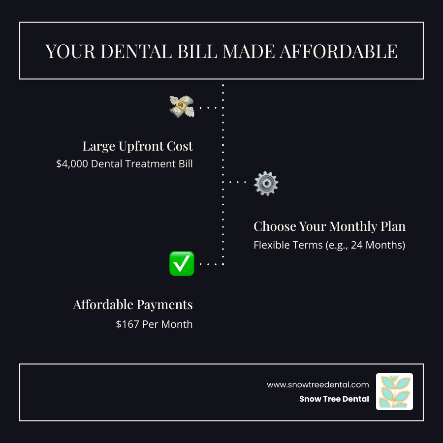 Infographic showing a $4,000 dental treatment bill being broken down into affordable monthly payments of $167 over 24 months, with icons representing different payment methods and a calendar showing the payment schedule - pay monthly dental care infographic infographic-line-3-steps-dark