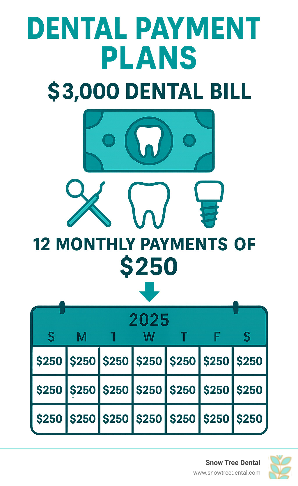 infographic showing how a $3,000 dental bill is broken down into 12 monthly payments of $250 each, with icons representing different dental procedures and a calendar showing the payment schedule over time - Dental payment plans infographic 