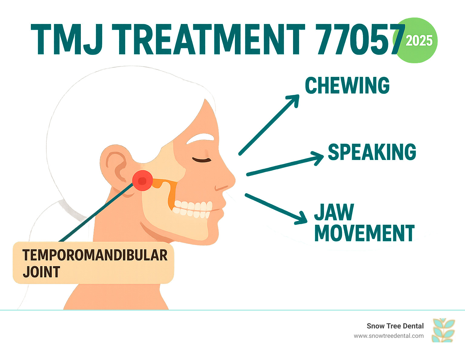 Infographic showing the temporomandibular joint location on both sides of the face, connecting the jaw to the skull, with labels indicating the joint's role in chewing, speaking, and jaw movement - TMJ treatment 77057 infographic  Infographic showing the temporomandibular joint location on both sides of the face, connecting the jaw to the skull, with labels indicating the joint's role in chewing, speaking, and jaw movement - TMJ treatment 77057 infographic