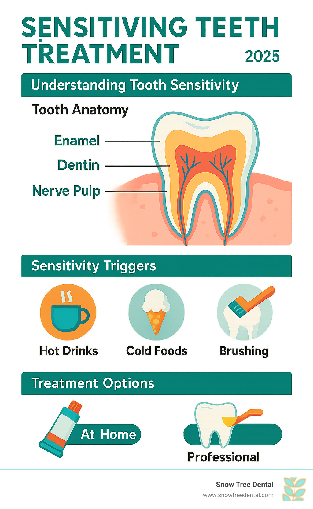 Comprehensive infographic showing tooth anatomy with enamel, dentin, and nerve pulp, plus common sensitivity triggers like hot drinks, cold foods, and brushing, alongside treatment options from at-home care to professional procedures - sensitive teeth treatment infographic 