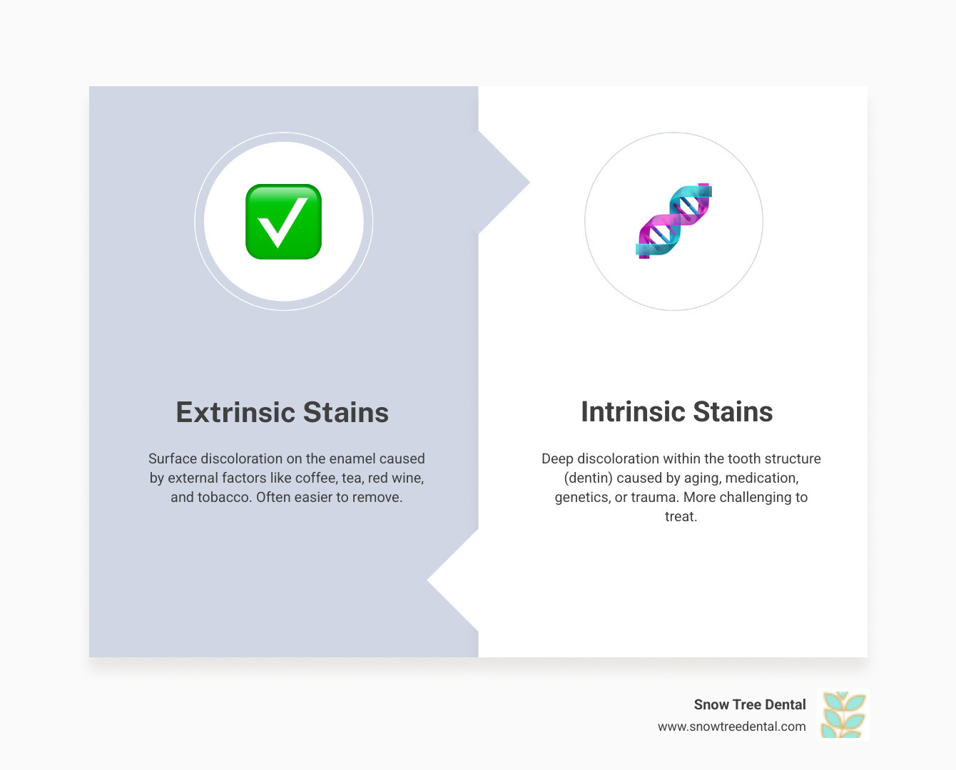 Infographic showing the difference between extrinsic stains (surface stains from coffee, tea, wine, tobacco) and intrinsic stains (internal discoloration from aging, medications, genetics) with visual examples of each type and their causes - professional teeth whitening infographic comparison-2-items-formal