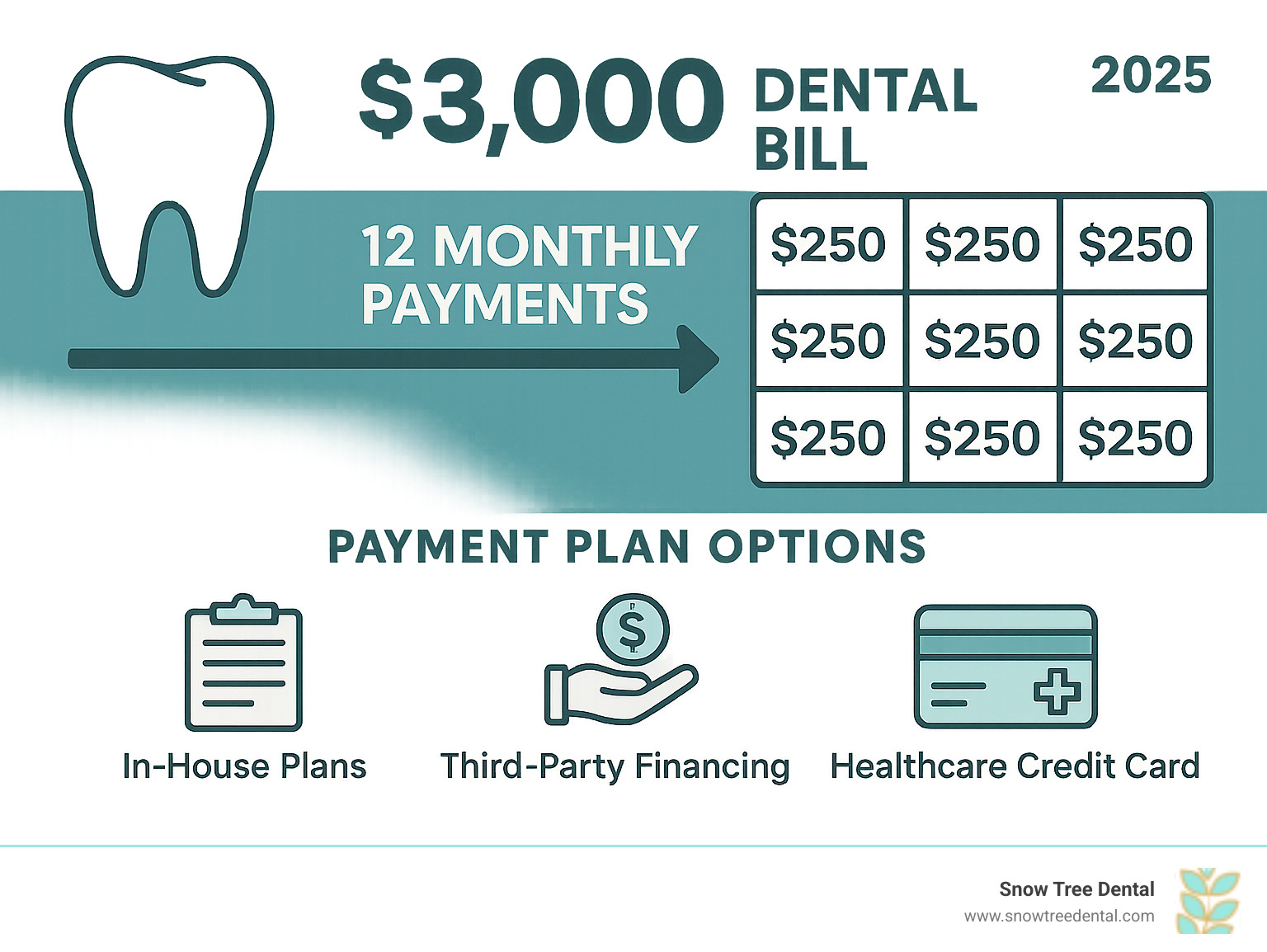 Infographic showing how a $3,000 dental bill can be split into 12 monthly payments of $250 each, with icons representing different payment plan types including in-house plans, third-party financing, and healthcare credit cards - dental places that do payment plans infographic  Infographic showing how a $3,000 dental bill can be split into 12 monthly payments of $250 each, with icons representing different payment plan types including in-house plans, third-party financing, and healthcare credit cards - dental places that do payment plans infographic