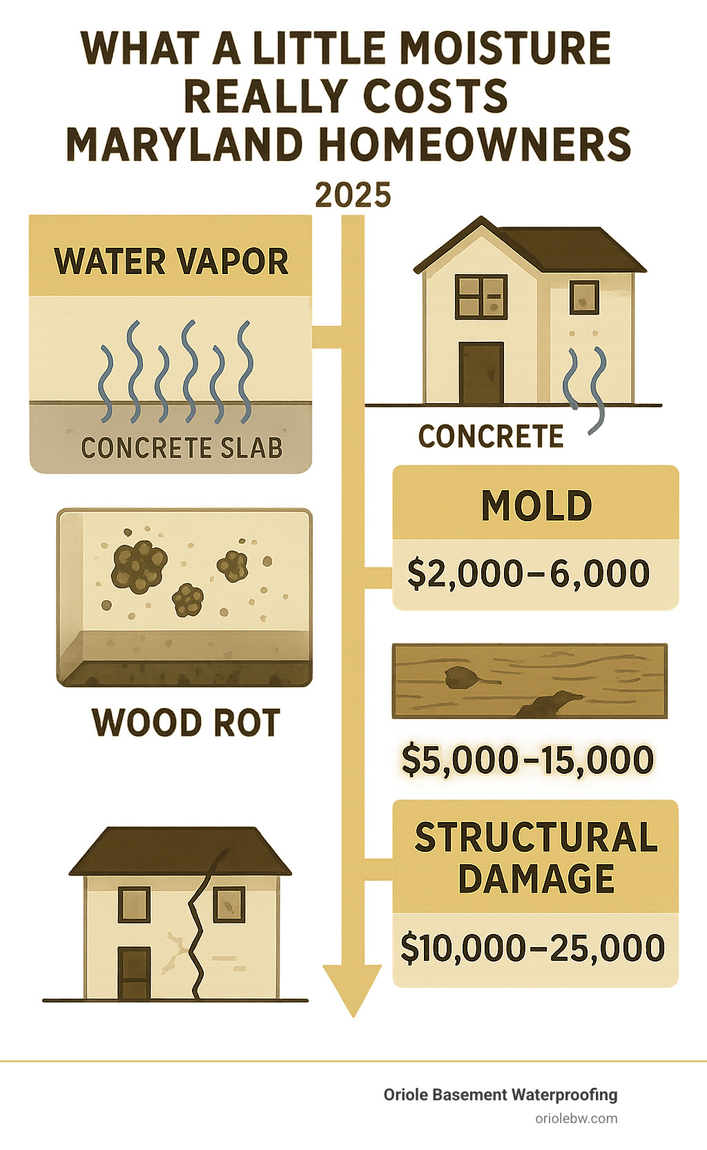 Infographic showing the progression of moisture damage in local homes, from initial water vapor penetration through concrete slabs to mold growth, wood rot, and structural damage, with cost estimates for each stage of deterioration - plastic moisture barrier infographic 