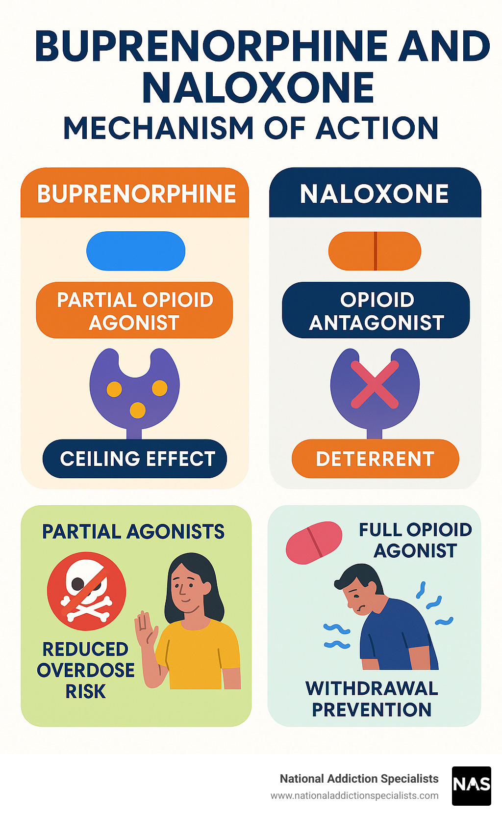 Infographic showing buprenorphine and naloxone mechanism of action with partial agonist ceiling effect, naloxone deterrent properties, and comparison to full opioid agonists including reduced overdose risk and withdrawal prevention - buprenorphine and naloxone infographic 