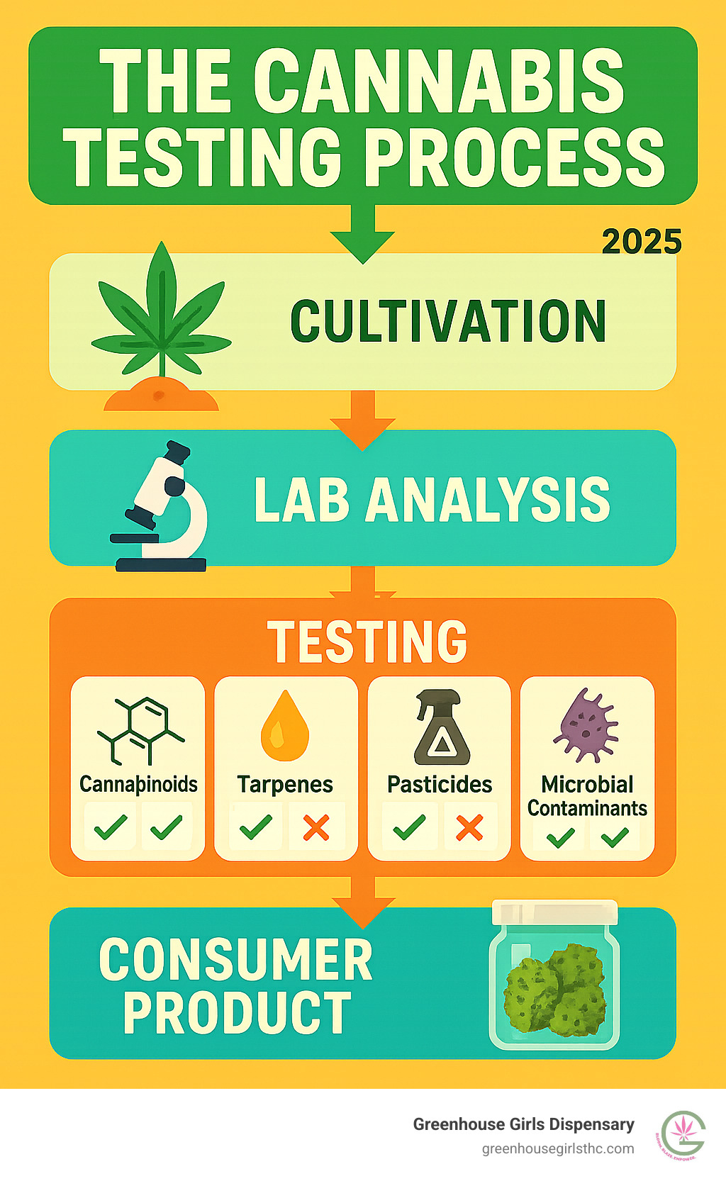 Infographic showing the complete cannabis testing process from cultivation through lab analysis to final consumer product, including key testing stages for cannabinoids, terpenes, pesticides, heavy metals, and microbial contaminants with pass/fail criteria - cannabis analysis infographic 