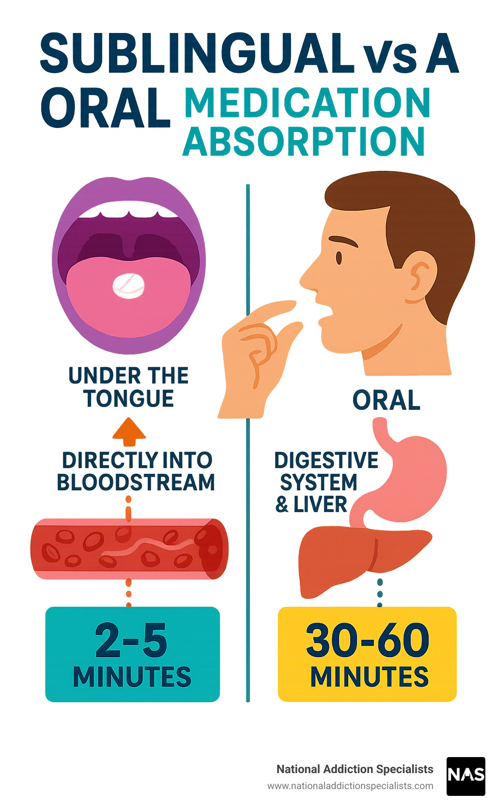 Infographic showing sublingual vs oral medication absorption pathways, including under-tongue placement, direct bloodstream entry through capillaries, bypassing digestive system and liver, with timing comparisons of 2-5 minutes for sublingual versus 30-60 minutes for oral absorption - sublingual infographic Infographic showing sublingual vs oral medication absorption pathways, including under-tongue placement, direct bloodstream entry through capillaries, bypassing digestive system and liver, with timing comparisons of 2-5 minutes for sublingual versus 30-60 minutes for oral absorption - sublingual infographic