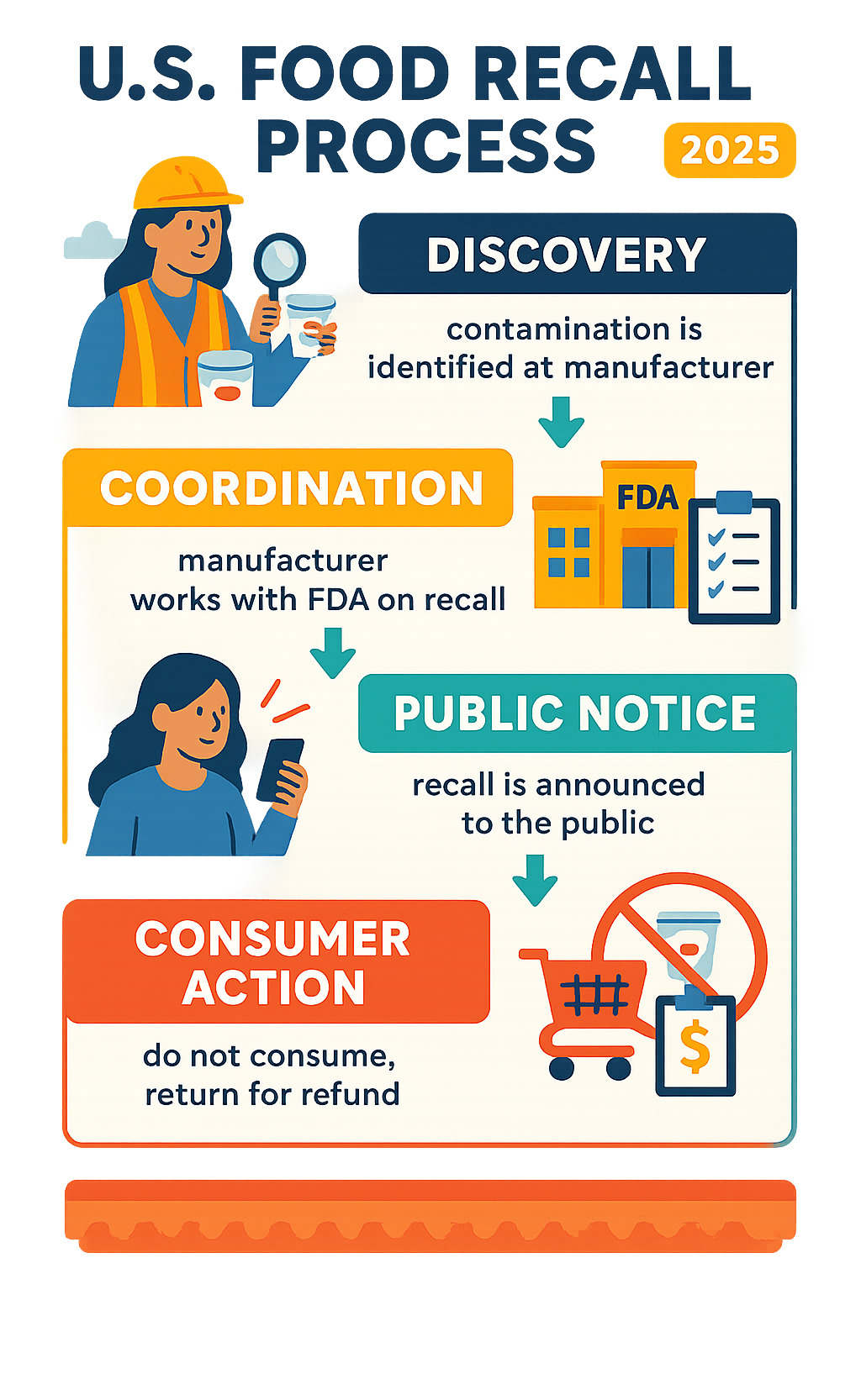 Detailed infographic showing the US food recall process from manufacturer findy of contamination through FDA coordination to public announcement and consumer action steps -  target yoghurt recall infographic 