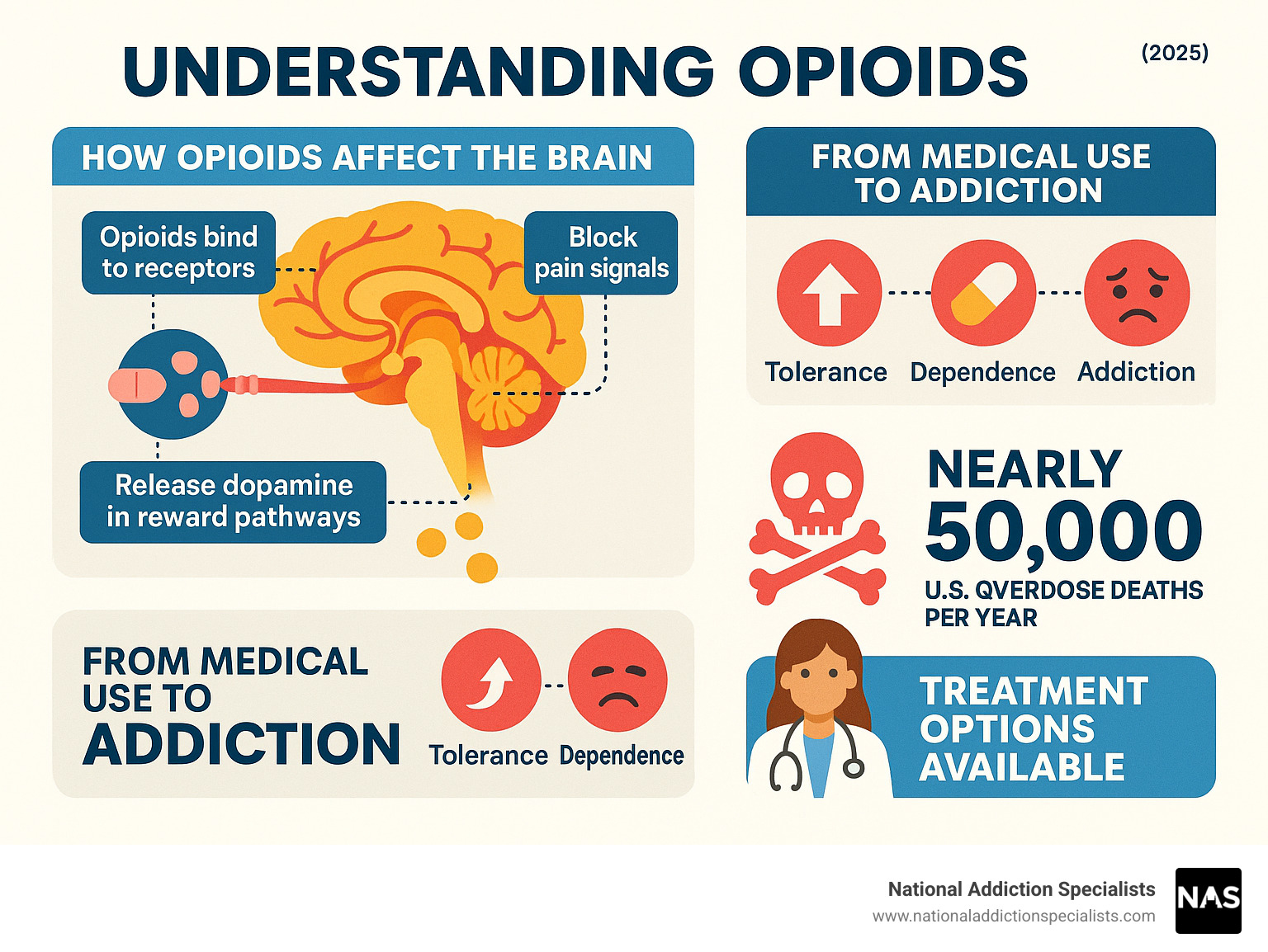 Comprehensive infographic showing how opioids bind to brain receptors, block pain signals, release dopamine in reward pathways, and the progression from medical use to tolerance, dependence, and potential addiction, with statistics on overdose deaths and treatment options - opiods infographic 