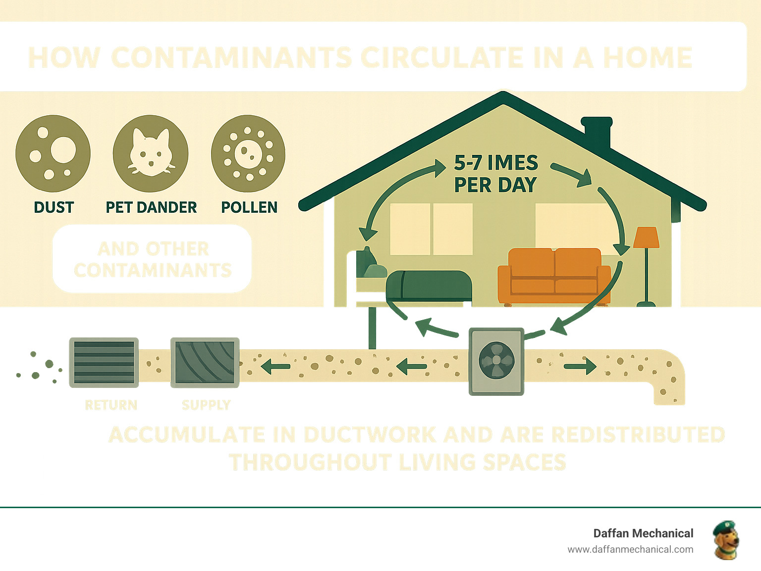 Infographic showing how dust, pet dander, pollen, and other contaminants circulate through a home's HVAC system 5-7 times per day, accumulating in ductwork and being redistributed throughout living spaces - air duct cleaning benefits infographic 