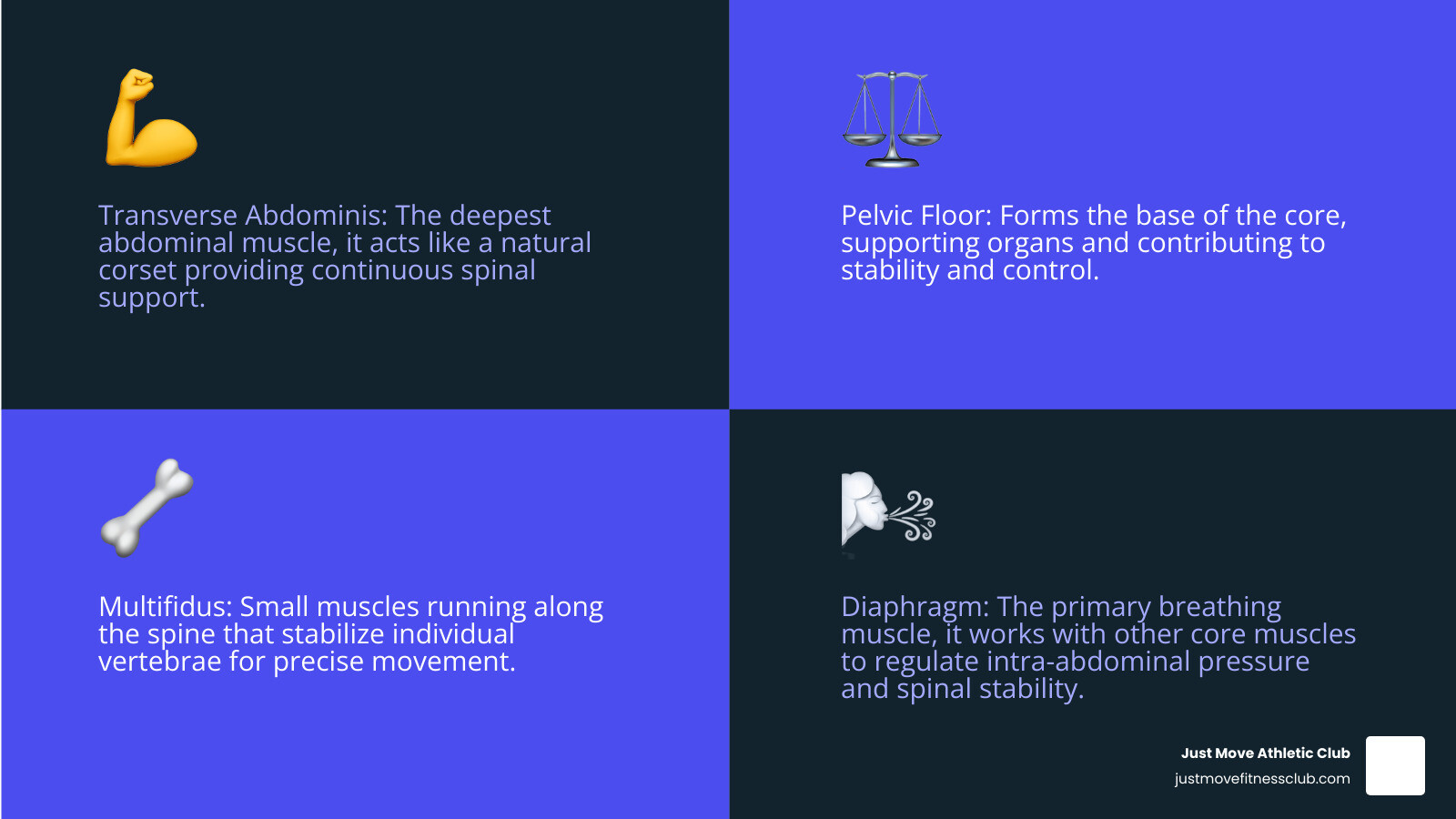 Infographic showing the key core muscles targeted in Pilates including the transverse abdominis deep abdominal muscle, pelvic floor muscles, multifidus spinal stabilizers, and diaphragm, with arrows indicating how they work together to create spinal stability and support proper posture during movement - Pilates for core stability infographic 4_facts_emoji_blue
