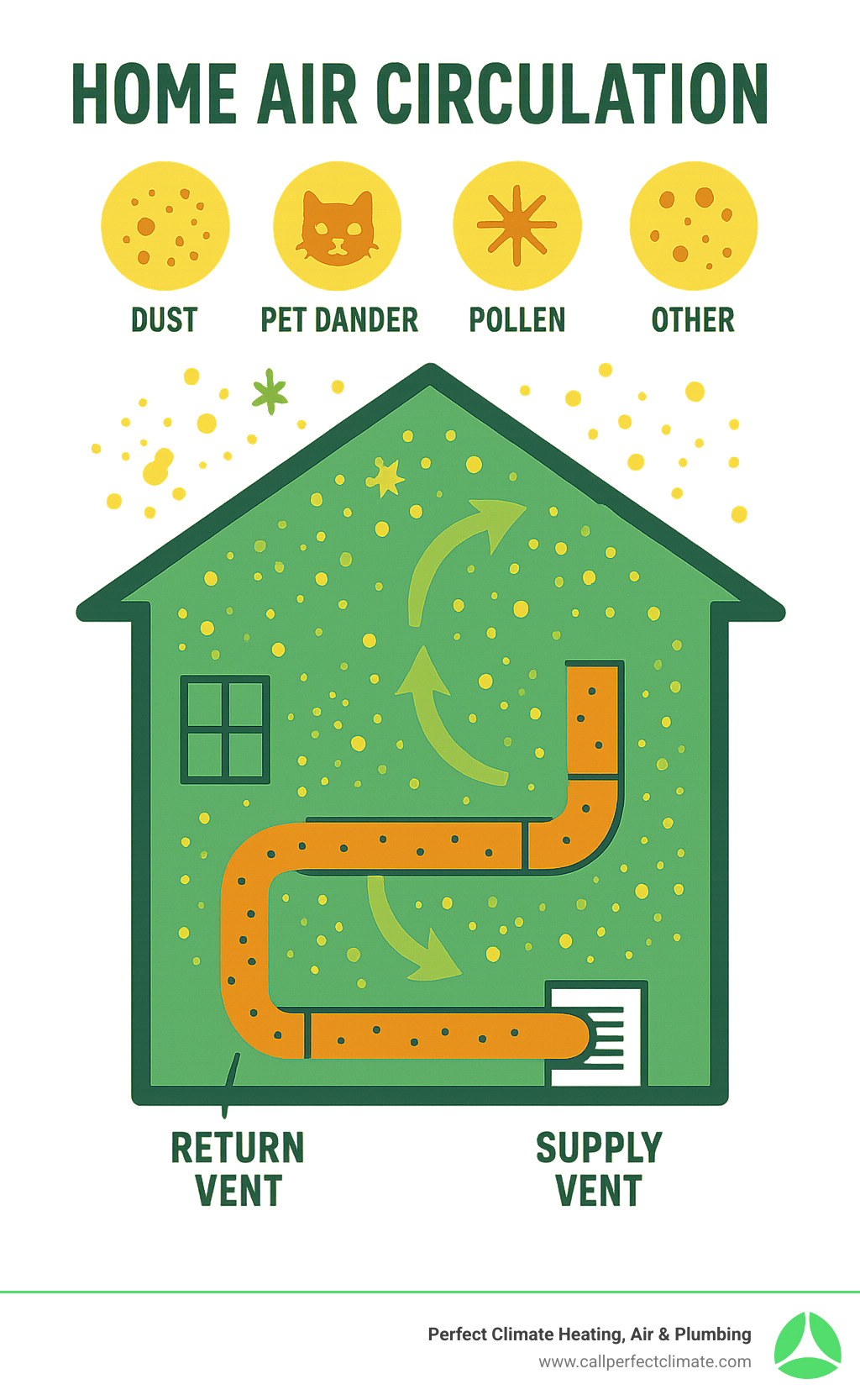 Infographic showing how dust, pet dander, pollen, and other airborne contaminants circulate through a home's HVAC system, entering through return vents, traveling through ductwork, and being distributed throughout living spaces via supply vents, with arrows indicating the continuous circulation cycle - Clean air vents house infographic  Infographic showing how dust, pet dander, pollen, and other airborne contaminants circulate through a home's HVAC system, entering through return vents, traveling through ductwork, and being distributed throughout living spaces via supply vents, with arrows indicating the continuous circulation cycle - Clean air vents house infographic