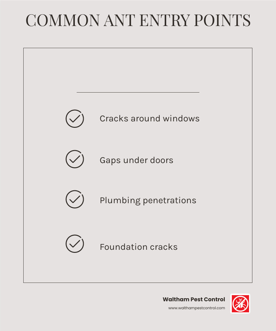 infographic showing common ant entry points in a house including cracks around windows, gaps under doors, plumbing penetrations, and foundation cracks - how to control sugar ants in the house infographic checklist-light-beige