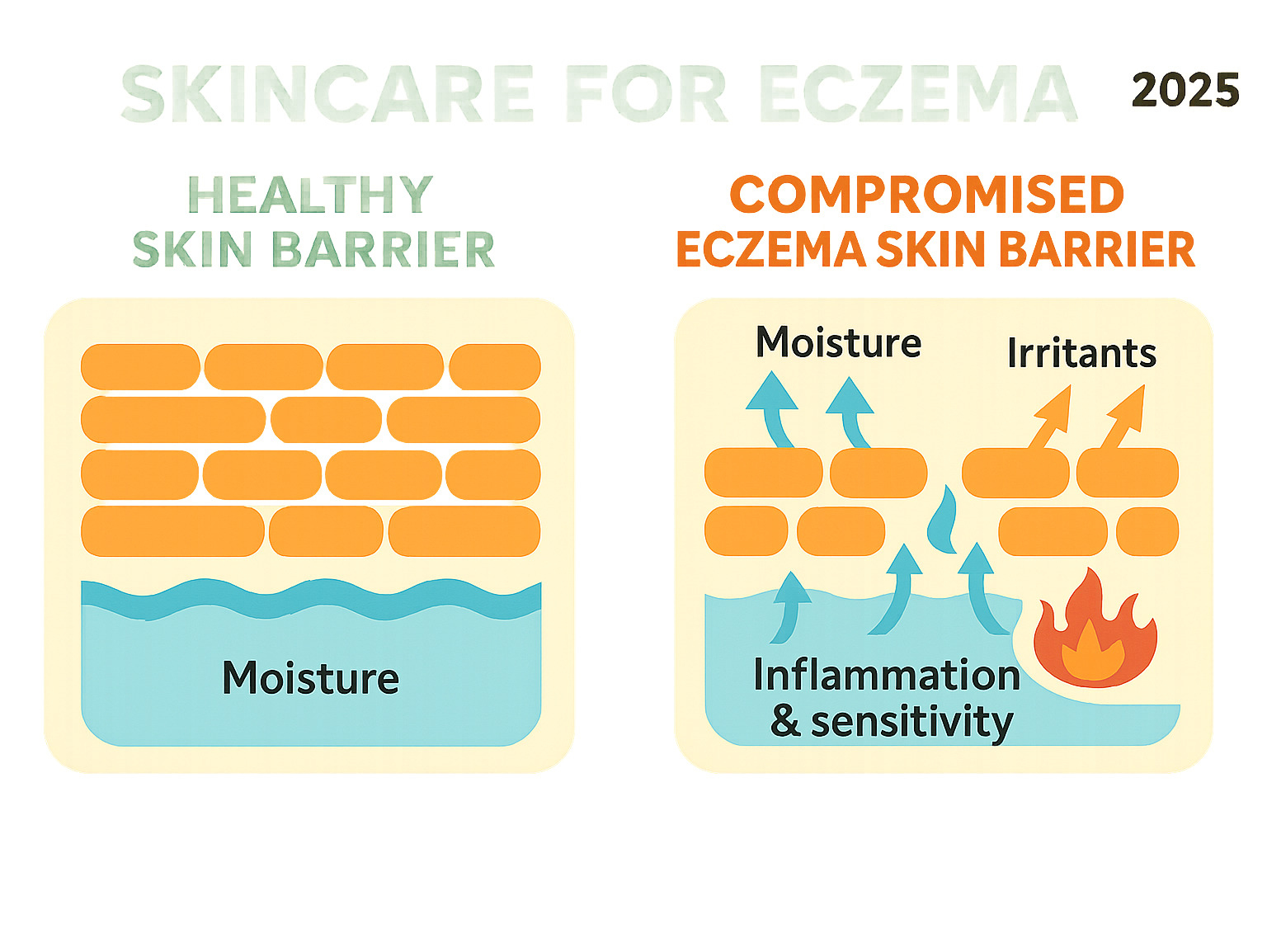 Infographic showing a healthy skin barrier with tightly packed cells and adequate moisture versus a compromised eczema skin barrier with gaps between cells, allowing moisture to escape and irritants to penetrate, leading to inflammation and sensitivity - Skincare for eczema infographic 